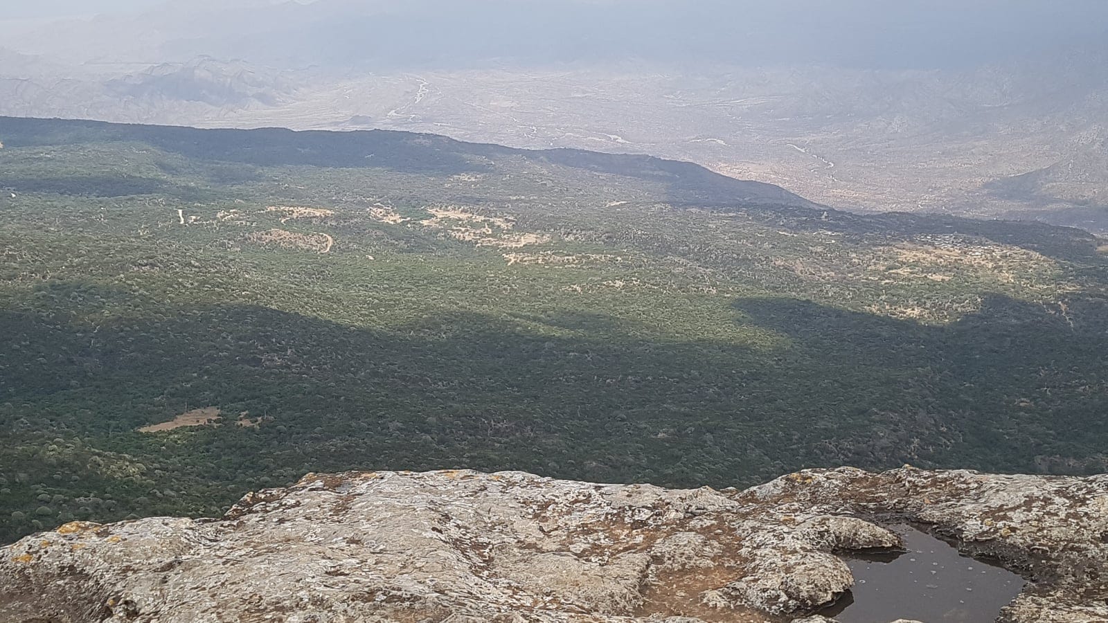 Juniper woodland on the Daallo escarpment above the hazy coastal plain, Somaliland.