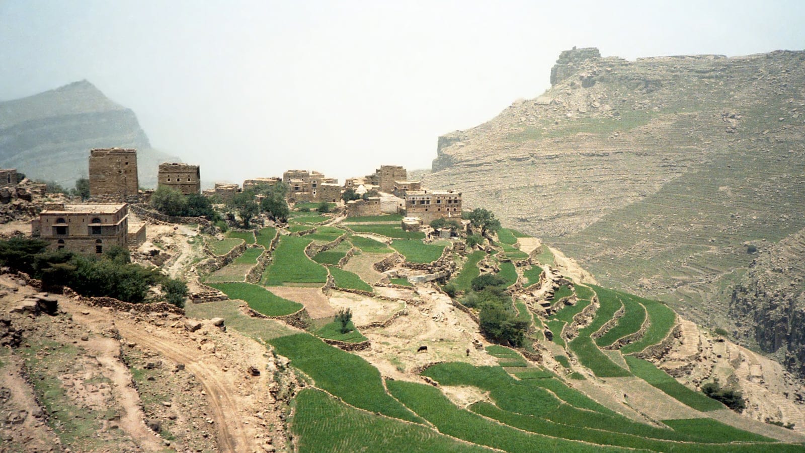 Agricultural terraces near At Tawilah in the Southwest Arabian highland xeric scrub region.