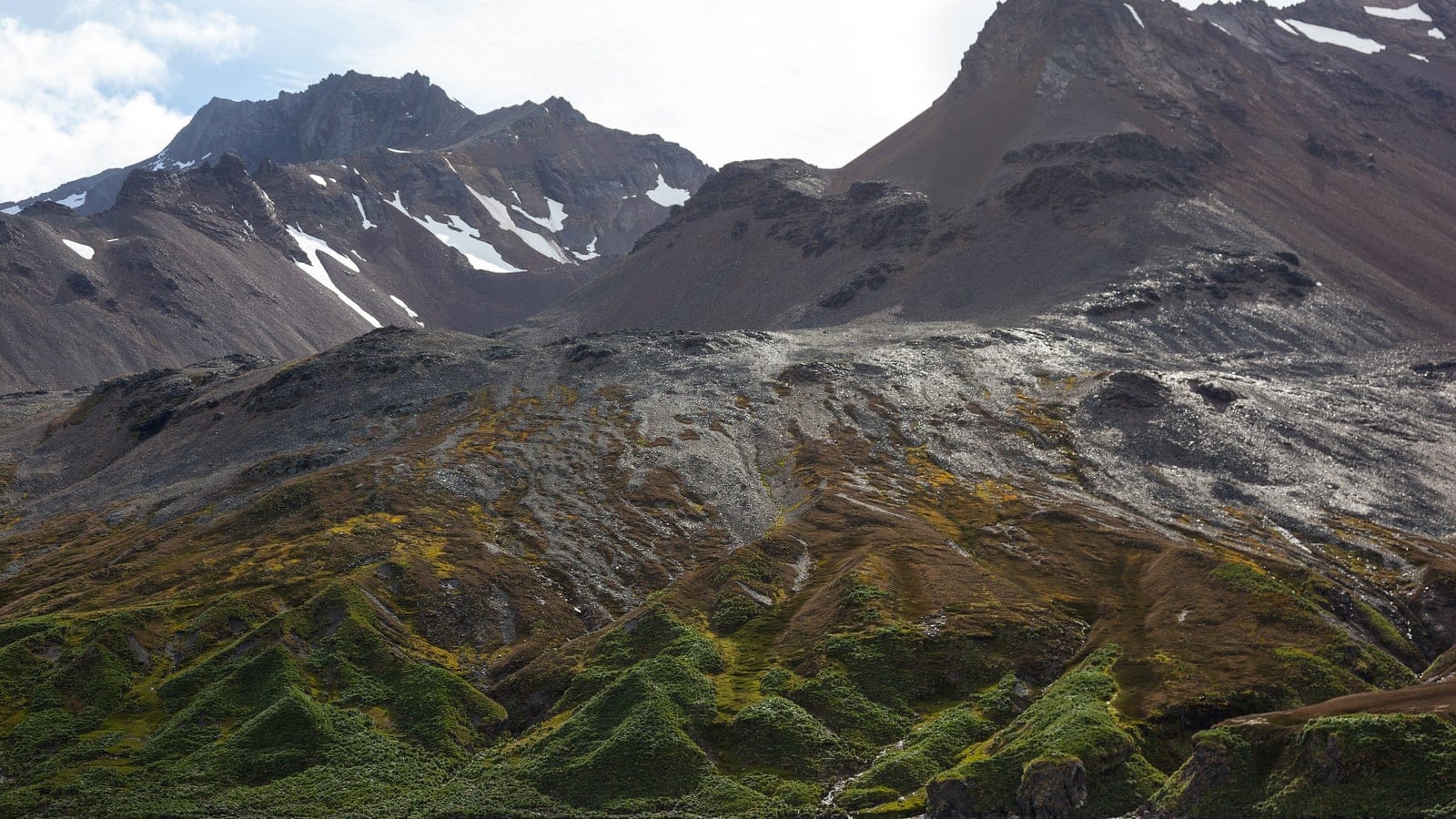 Tussock grass mounds below grey scree slopes and snow streaked peaks at Fortuna Bay, South Georgia.