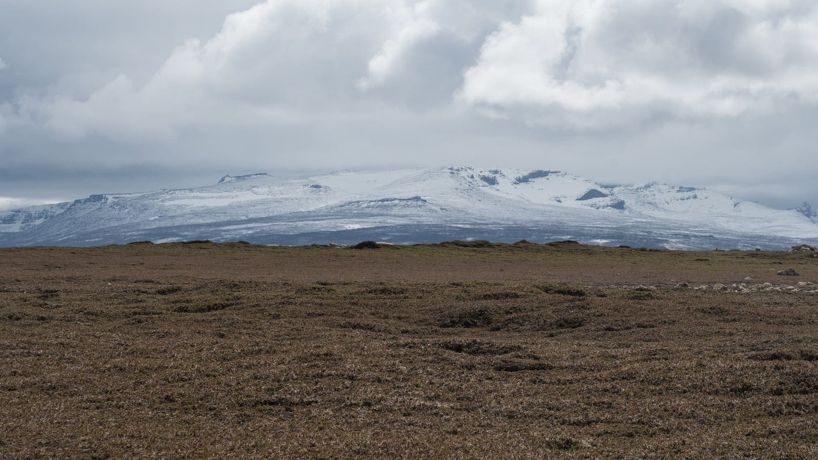 Wind-clipped cushion heath over a peat plain below snow-covered plateaux on the Courbet Peninsula, Kerguelen Islands.