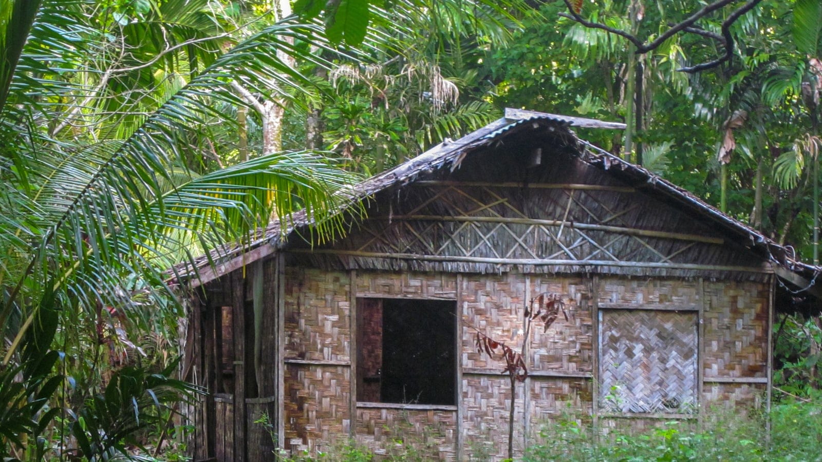 Woven bamboo and thatch house among coconut and areca palms on Baluan, Admiralty Islands.