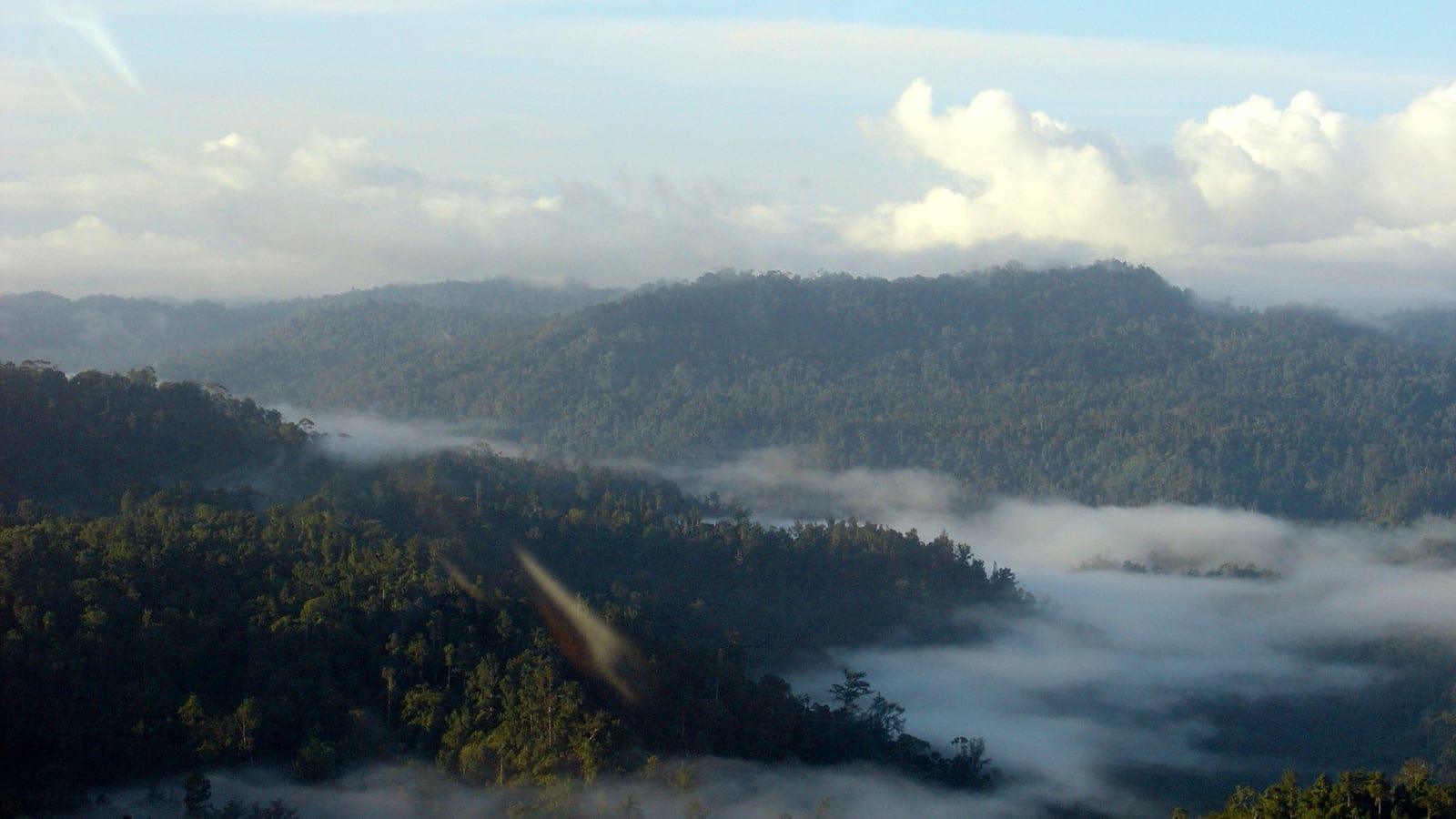 Mist filling valleys between closed rain forest ridges on Halmahera, Indonesia.