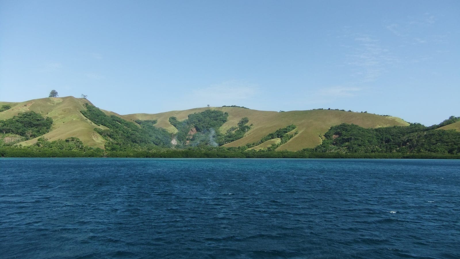 Grass-topped hills with forested gullies and a dark mangrove fringe seen from the water, Louisiade Archipelago, Papua New Guinea.