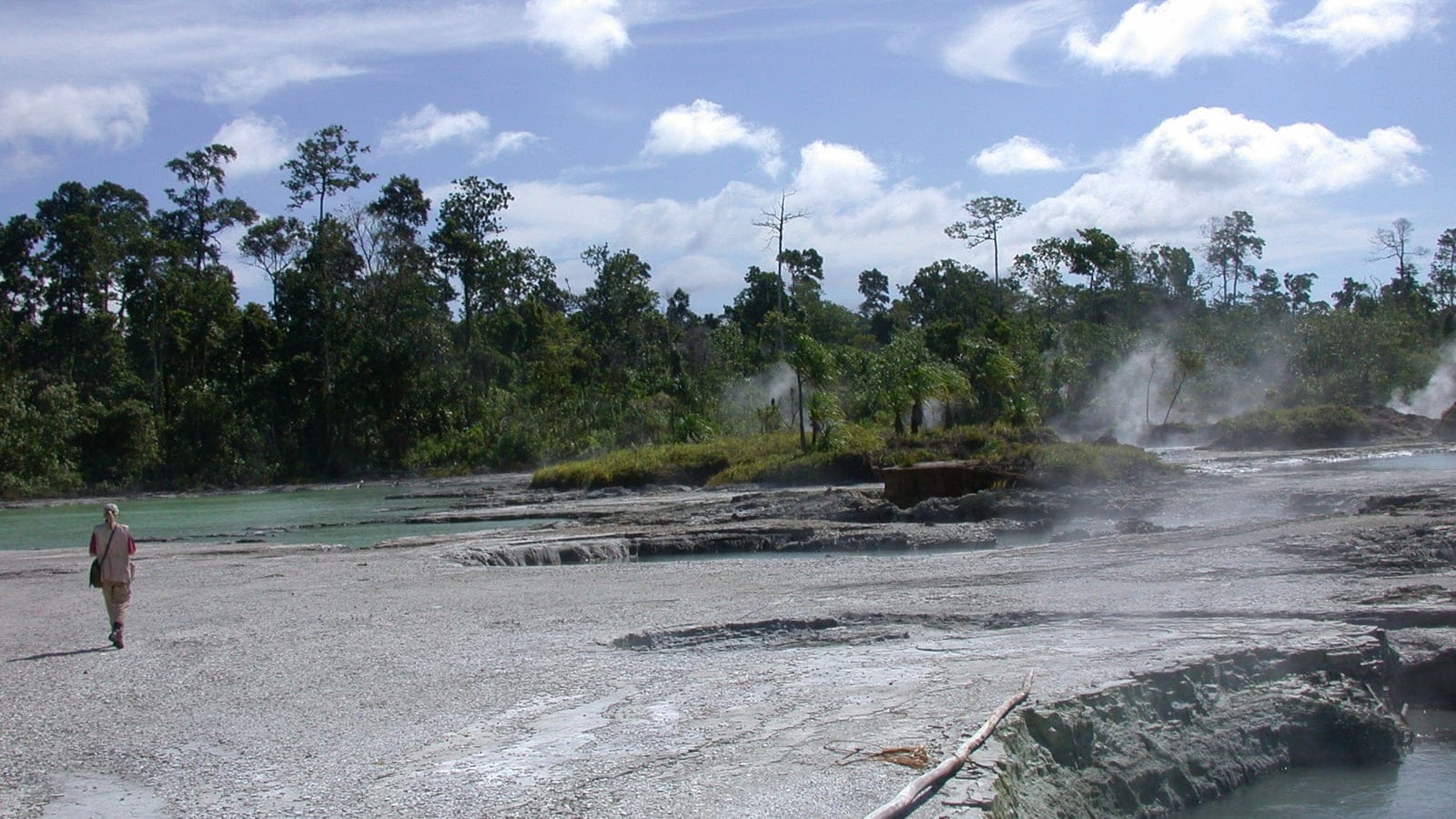 Steaming geothermal flats beside lowland rainforest edge at Pokili, New Britain, Papua New Guinea.