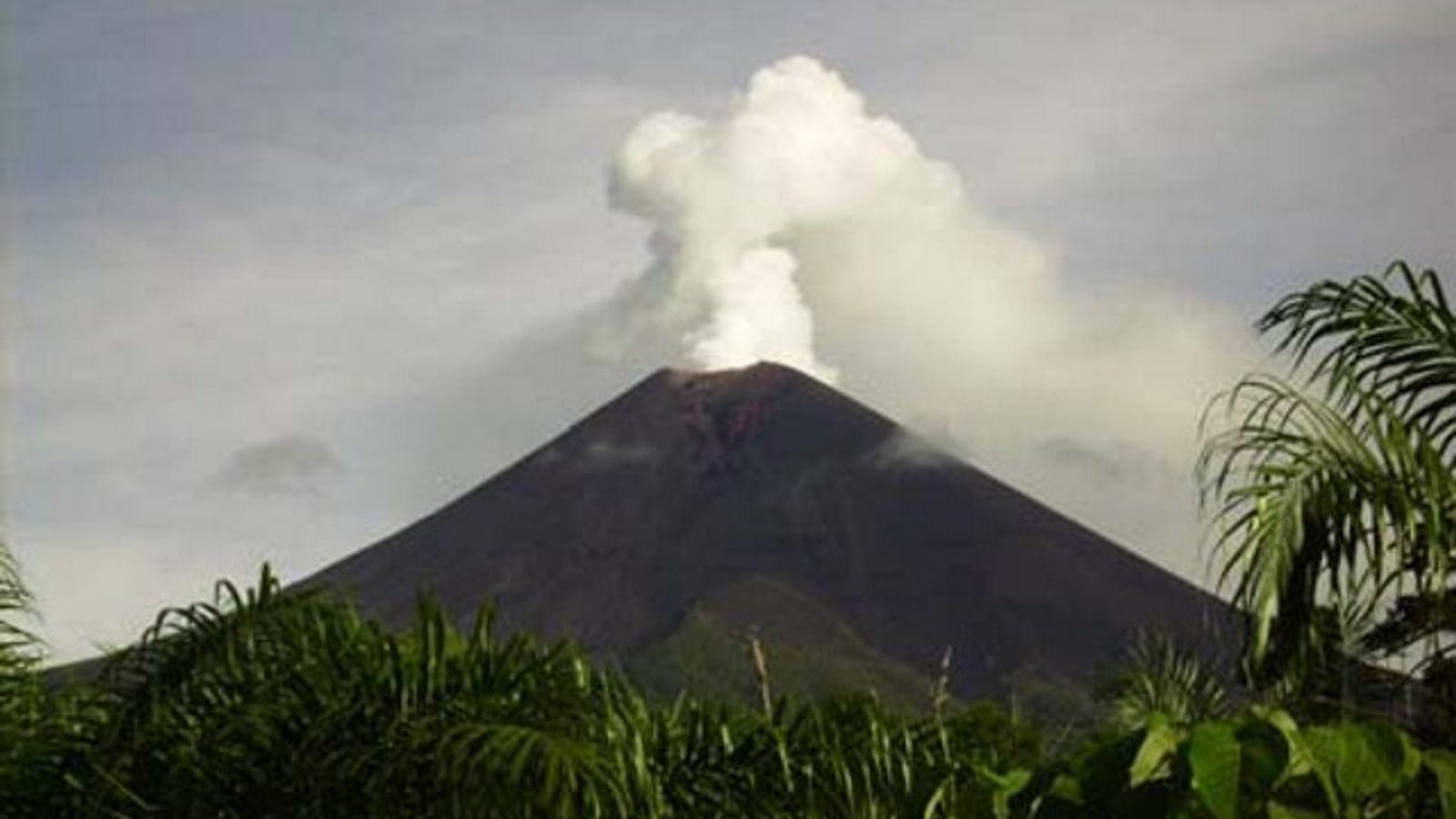 Steam rising from Ulawun volcano above palms and forest, New Britain, Papua New Guinea.
