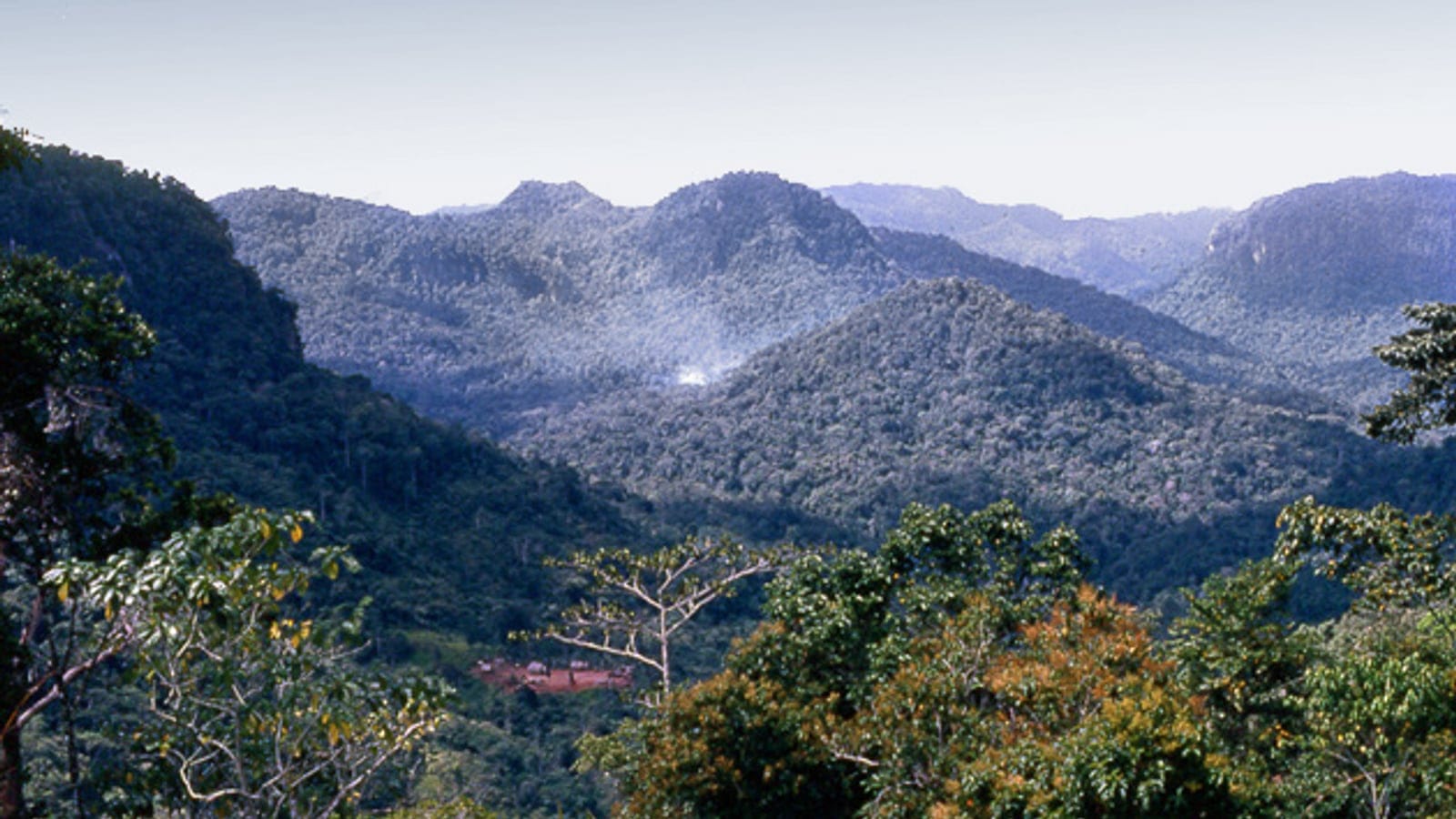 Ridge after ridge of rain forest fading into haze in the Owen Stanley Range, Papua New Guinea.