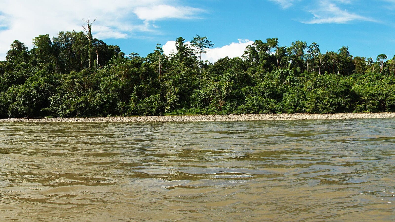 Wide panorama of the Digul River meandering through dense lowland tropical rainforest under a hazy sky in southern Papua, Indonesia.