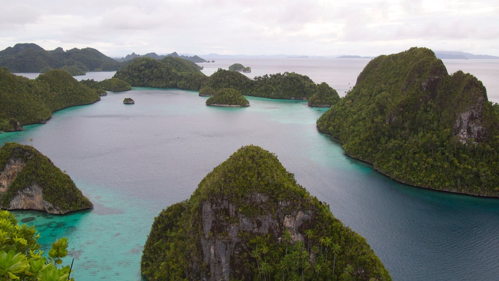 Forested karst islets and coconut palms rising from the lagoon at Wayag, Raja Ampat, Indonesia.