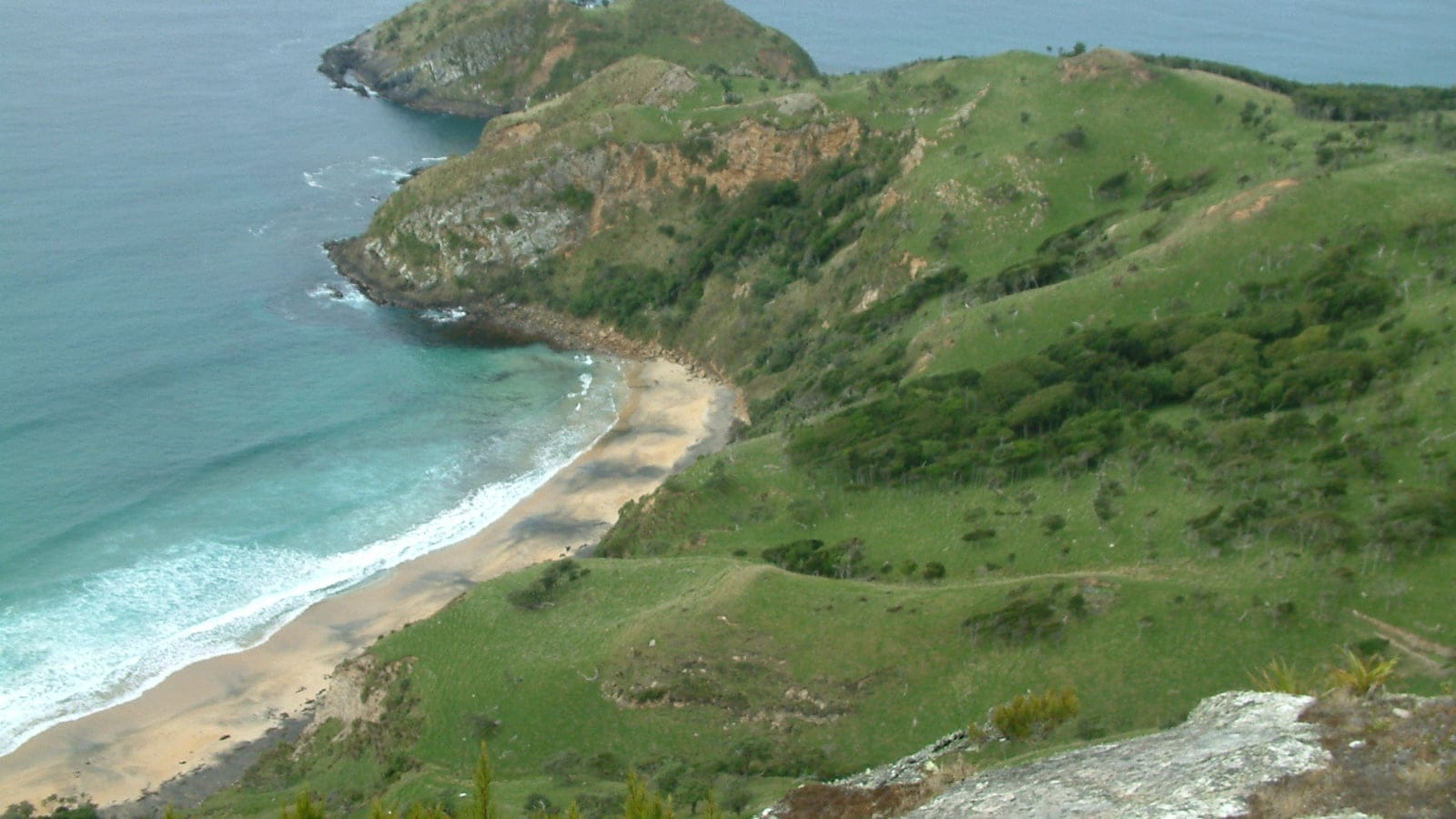 Coastal vegetation and temperate forest mosaic at Kahuitara Point on the Chatham Islands.