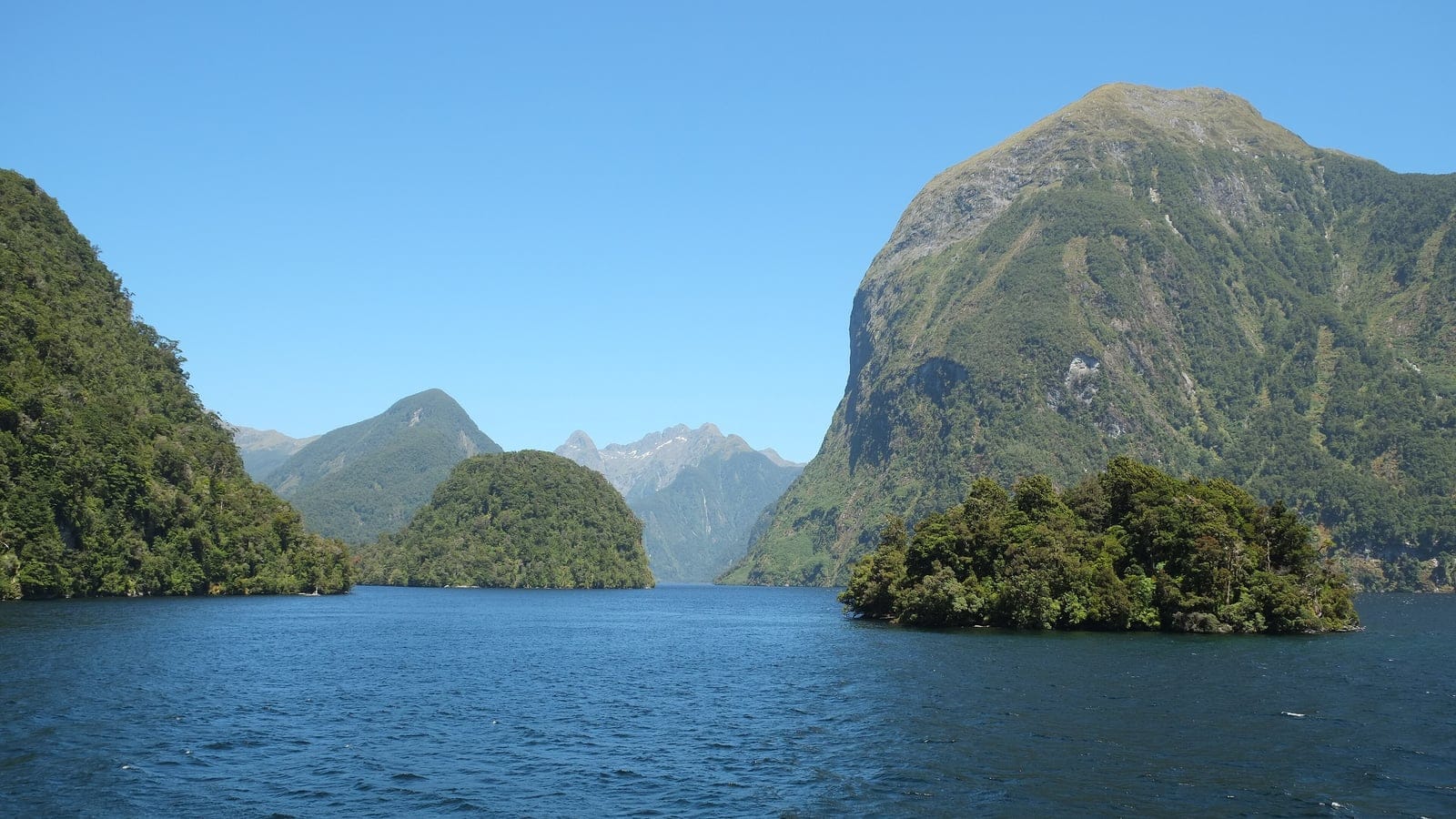 Fiordland temperate forest and steep coastal mountain terrain.