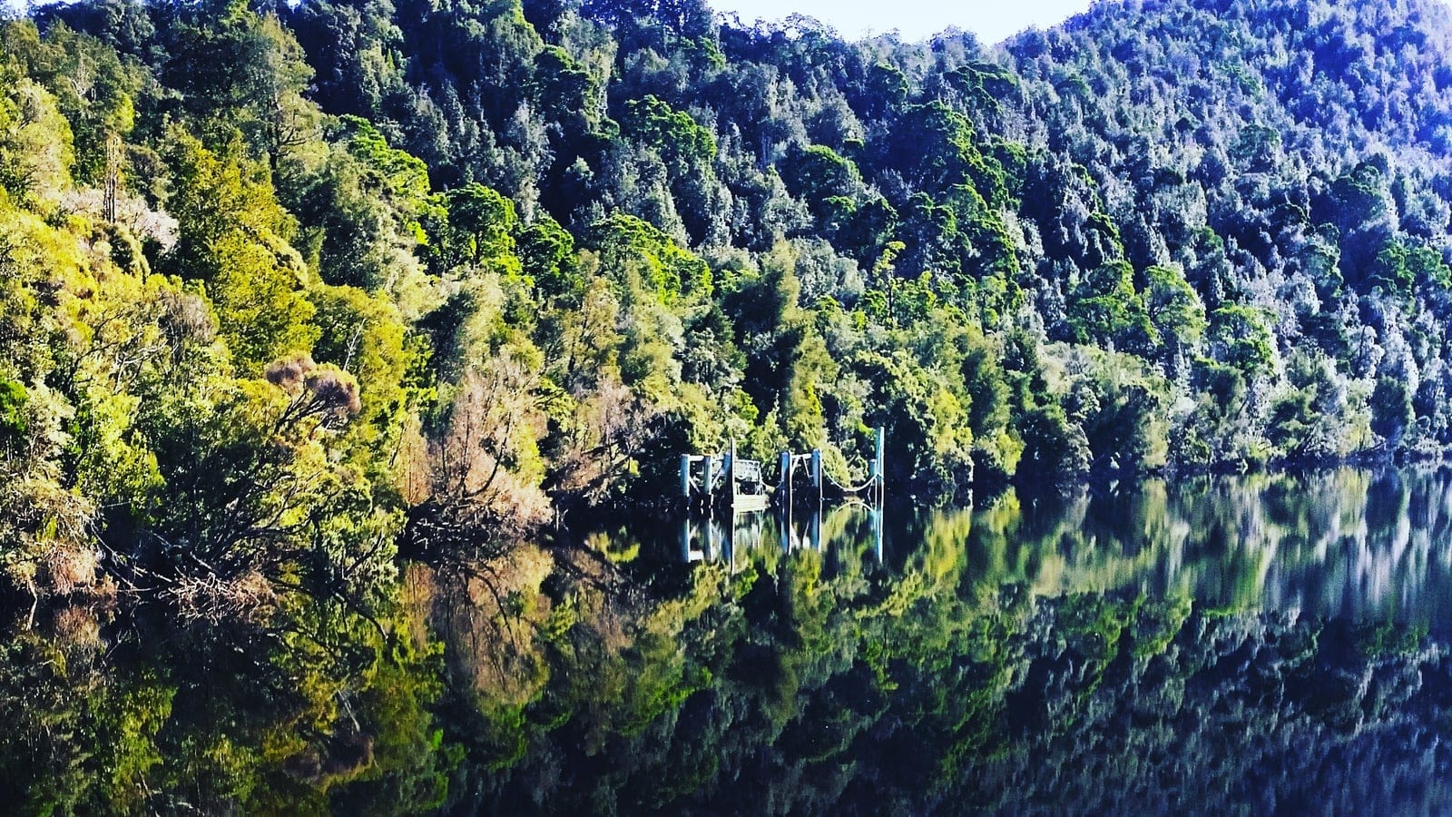 Temperate rainforest wall mirrored in the still Gordon River, western Tasmania.
