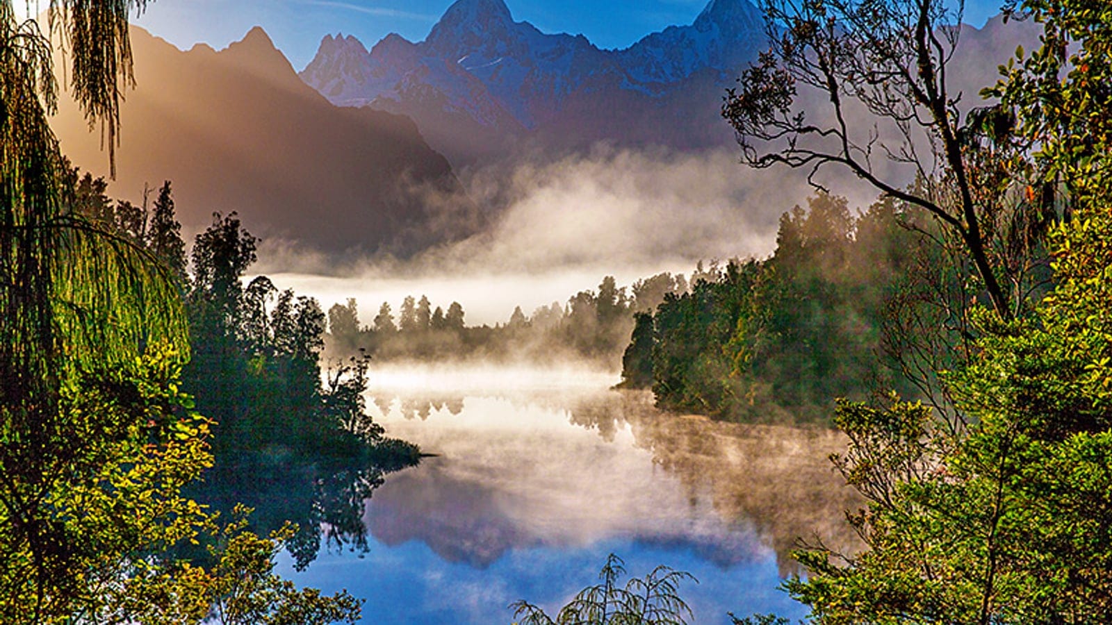 Podocarp forest around a mist-covered lake below the Southern Alps, Lake Matheson, New Zealand.