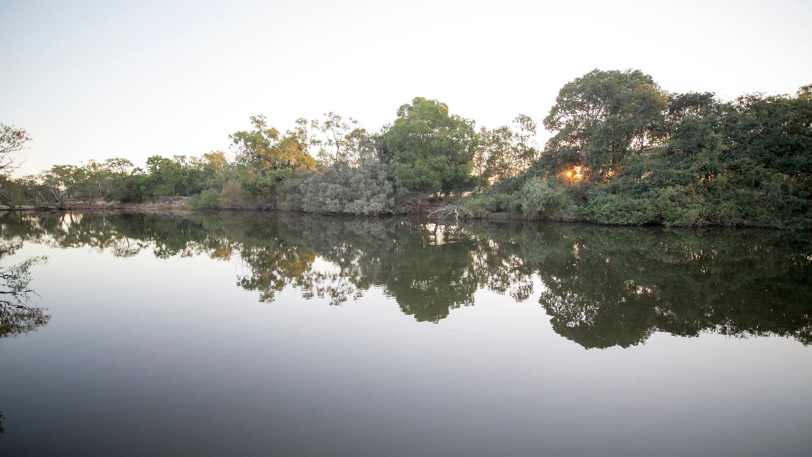 Gallery forest reflected in the still Coleman River at dusk, Cape York Peninsula, Queensland.