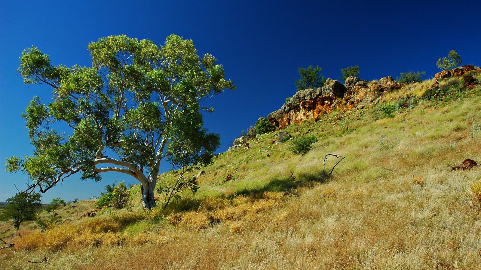 Open tropical savanna woodland and rocky escarpment at Riversleigh, Australia.