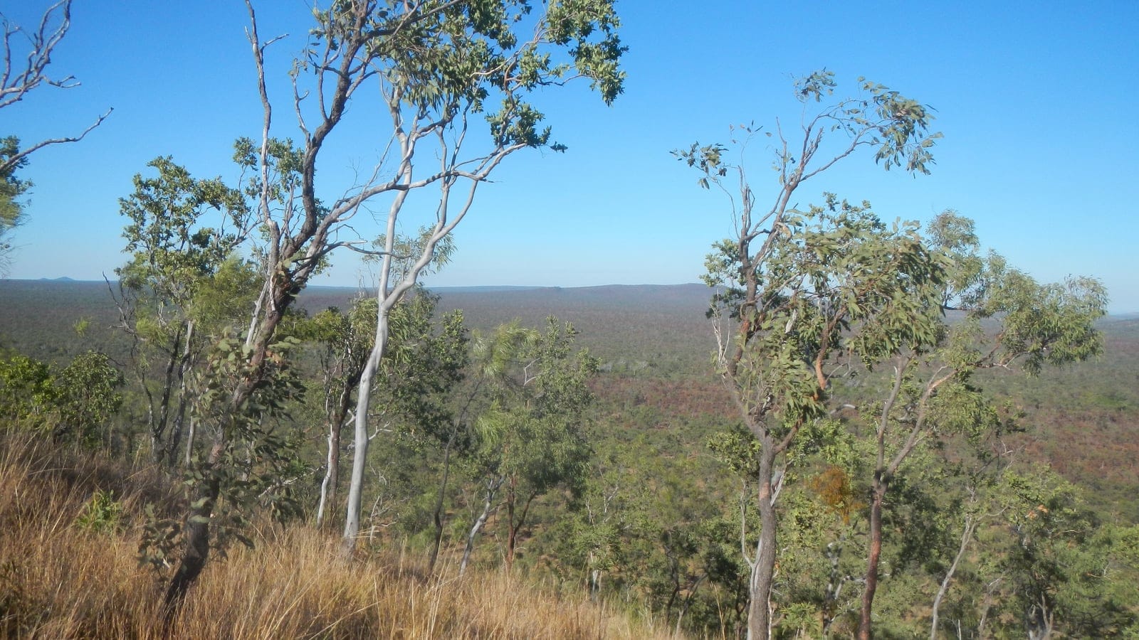 Einasleigh upland savanna and volcanic crater terrain in northern Queensland.