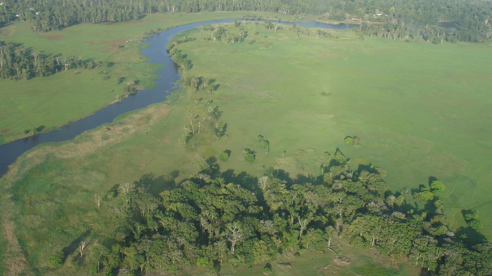 River meander through floodplain grassland and gallery woodland at Bensbach, Papua New Guinea.