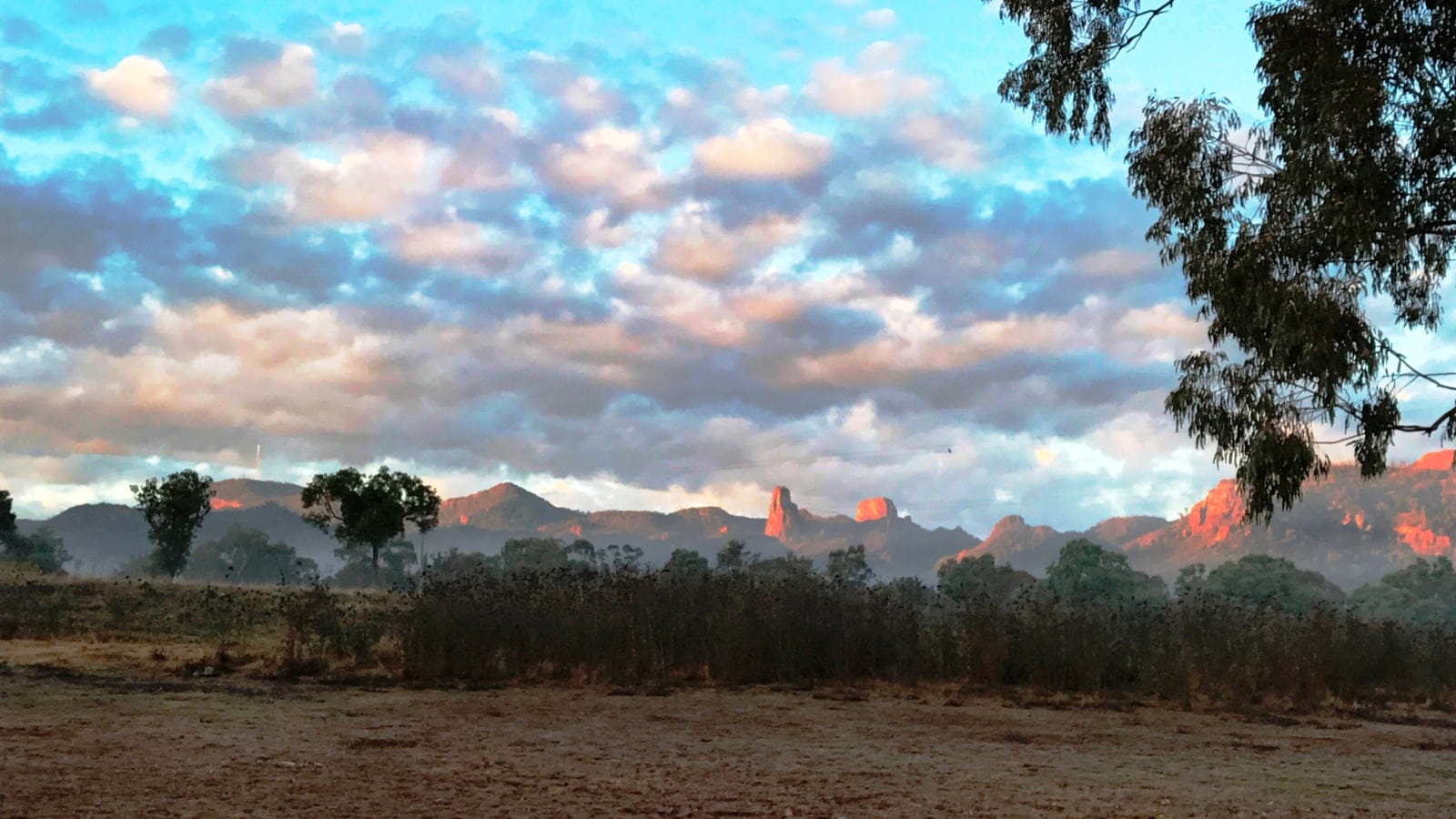 Dawn light on the Warrumbungle volcanic spires above dry shrub and scattered eucalypts, New South Wales.