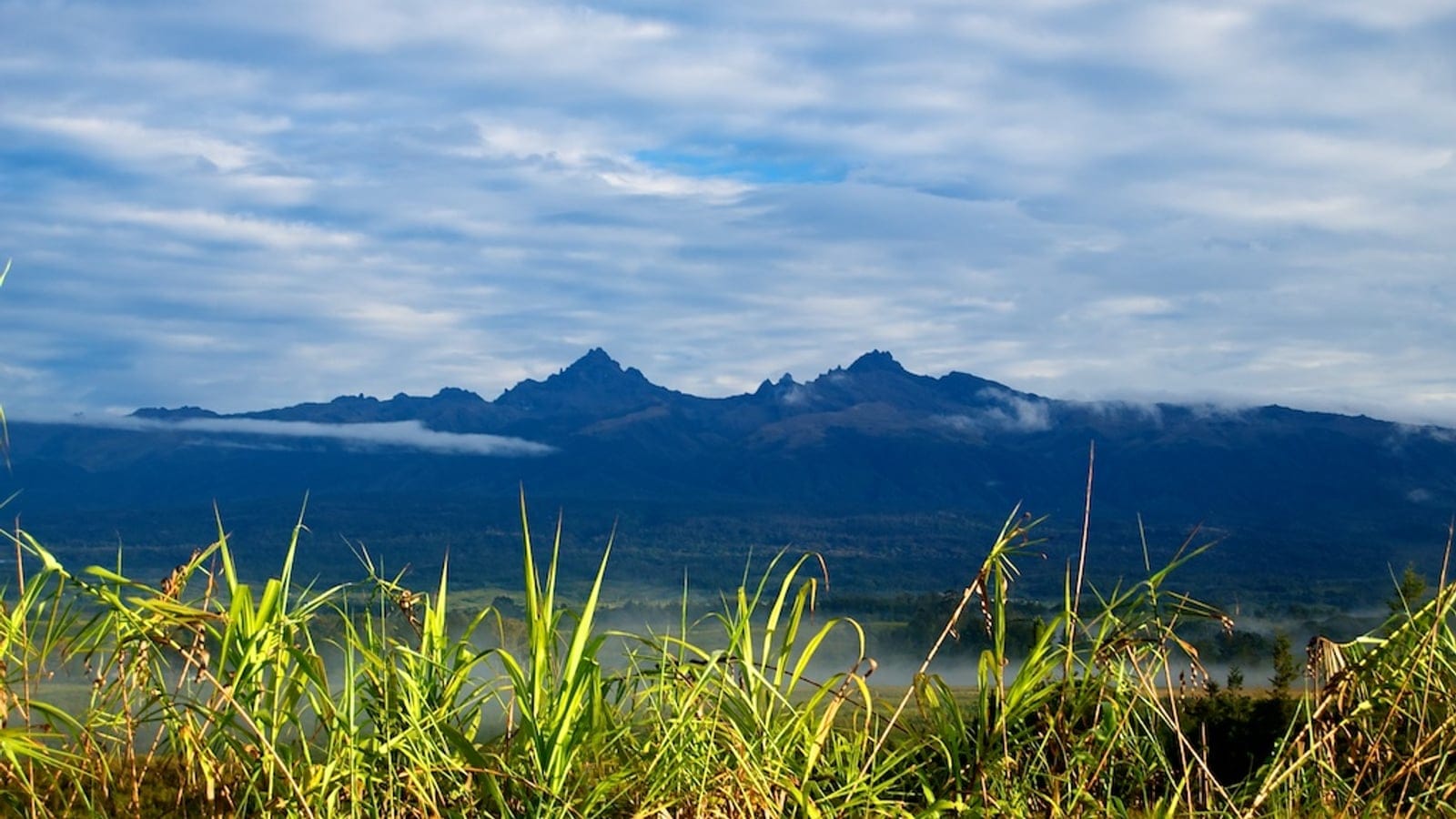 Subalpine grassland and mountain terrain on Mount Giluwe in Papua New Guinea.