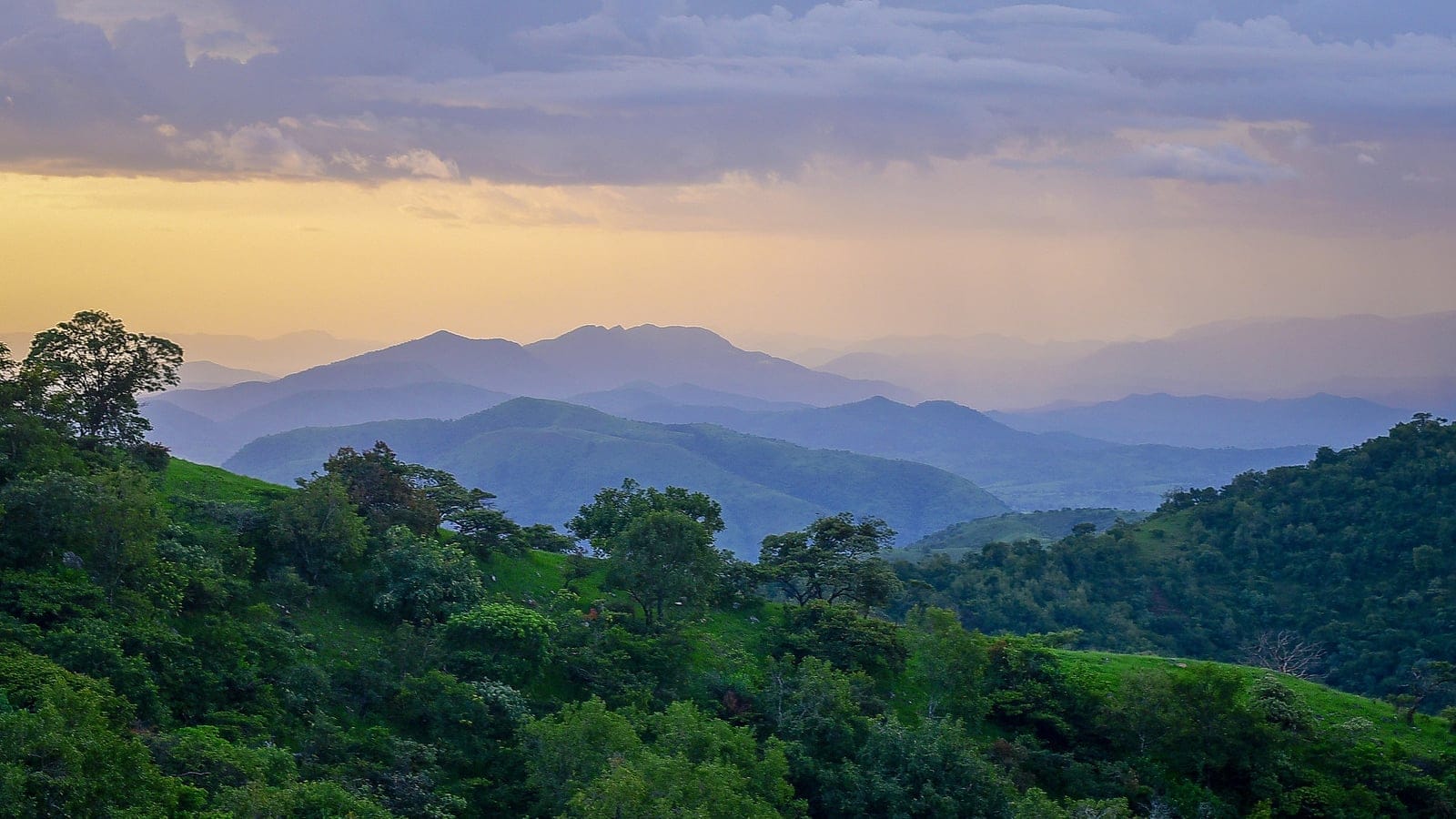 Layered forested highlands in Gashaka-Gumti National Park near the Cameroon border.