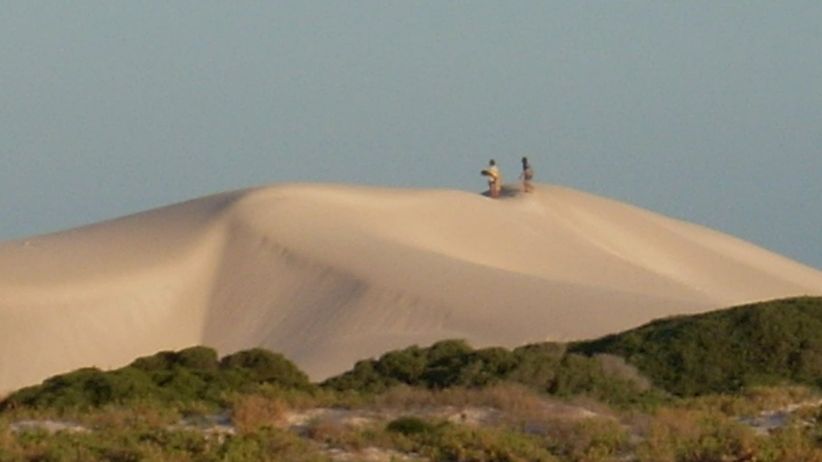 Coastal sand dune above low scrub near Eucla, Western Australia.
