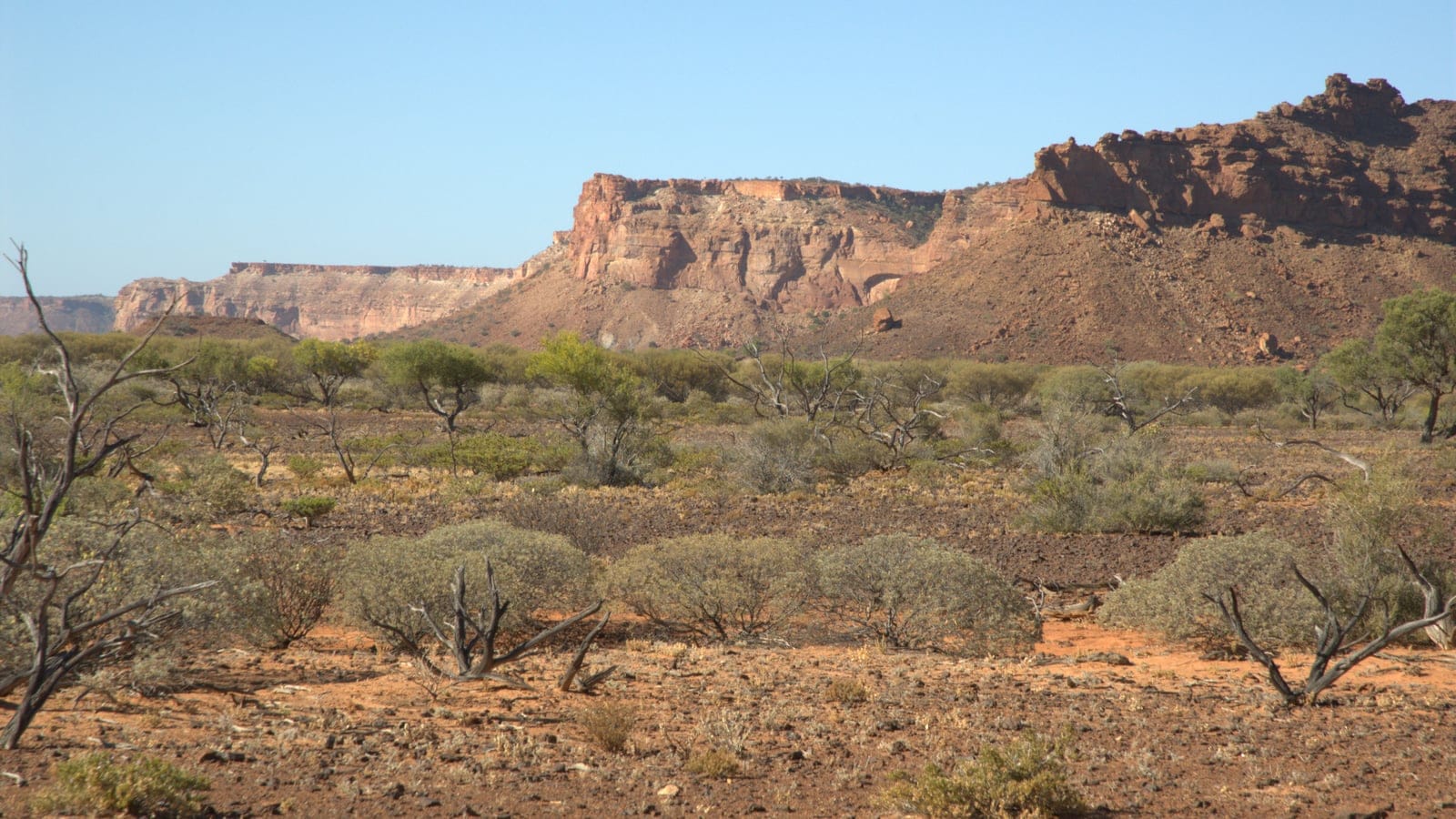 Xeric shrubland and sandstone escarpment in Kennedy Range National Park, Western Australia.