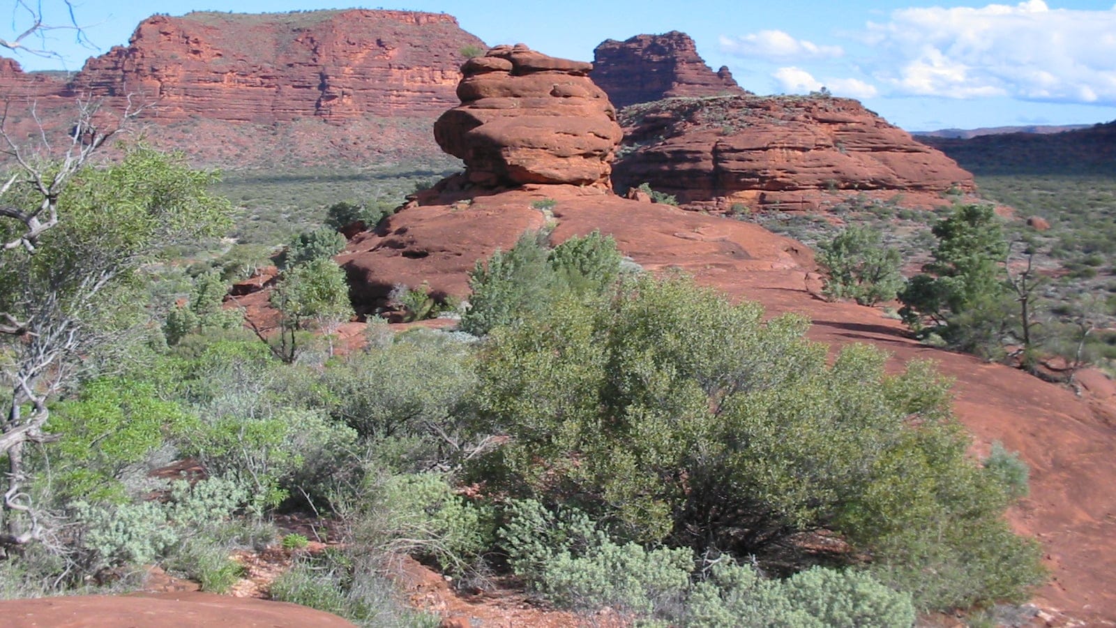 Red sandstone ranges and desert scrub in Finke Gorge National Park.