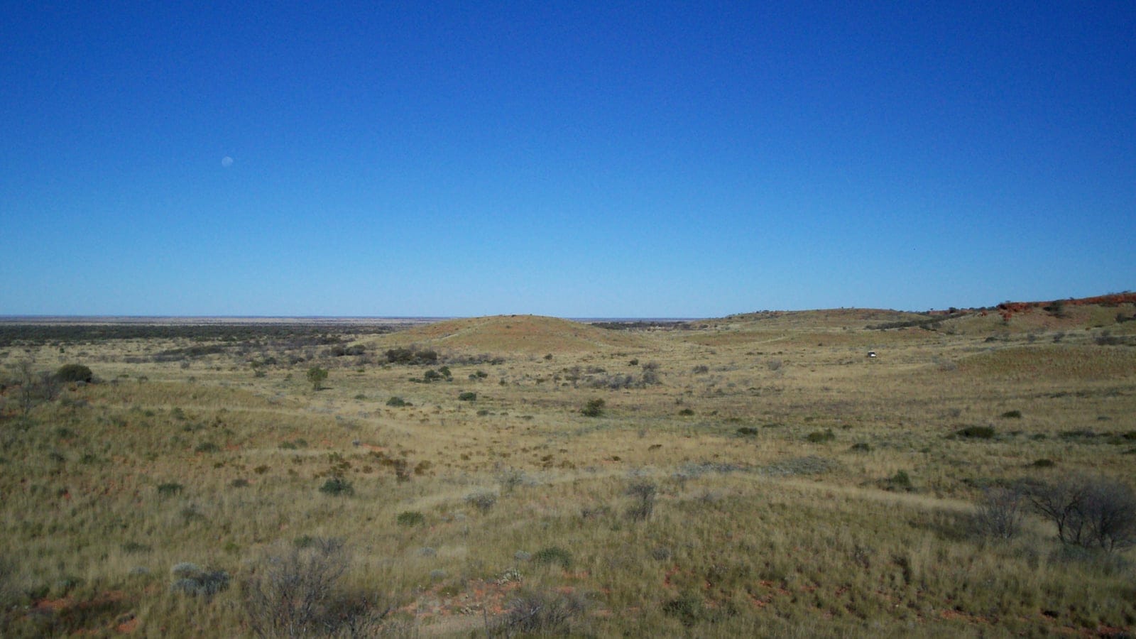 Gibson Desert sandplain and arid terrain near the Alfred and Marie Range.