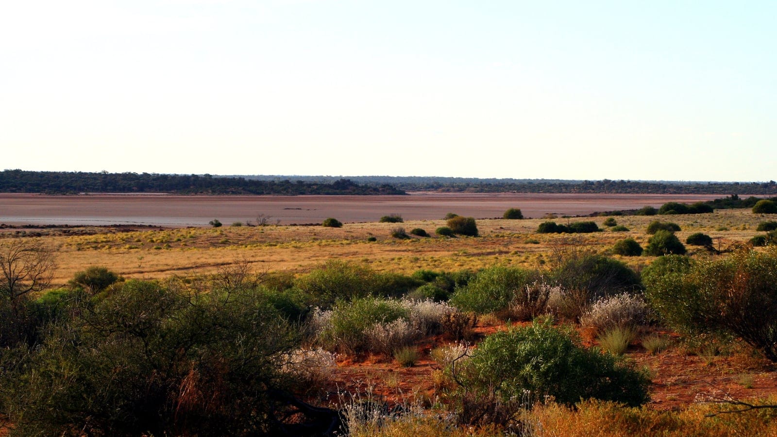 Desert shrubs and spinifex above a dry salt lake at Serpentine Lakes, Great Victoria Desert.