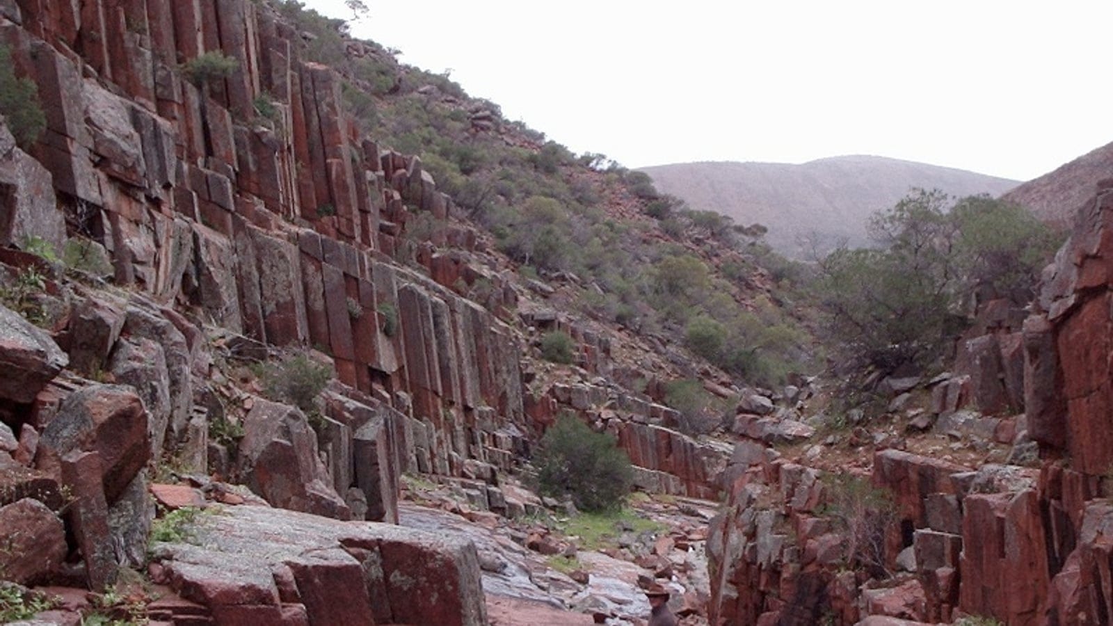 Columnar red rock walls with sparse scrub in an arid inland gorge, South Australia.