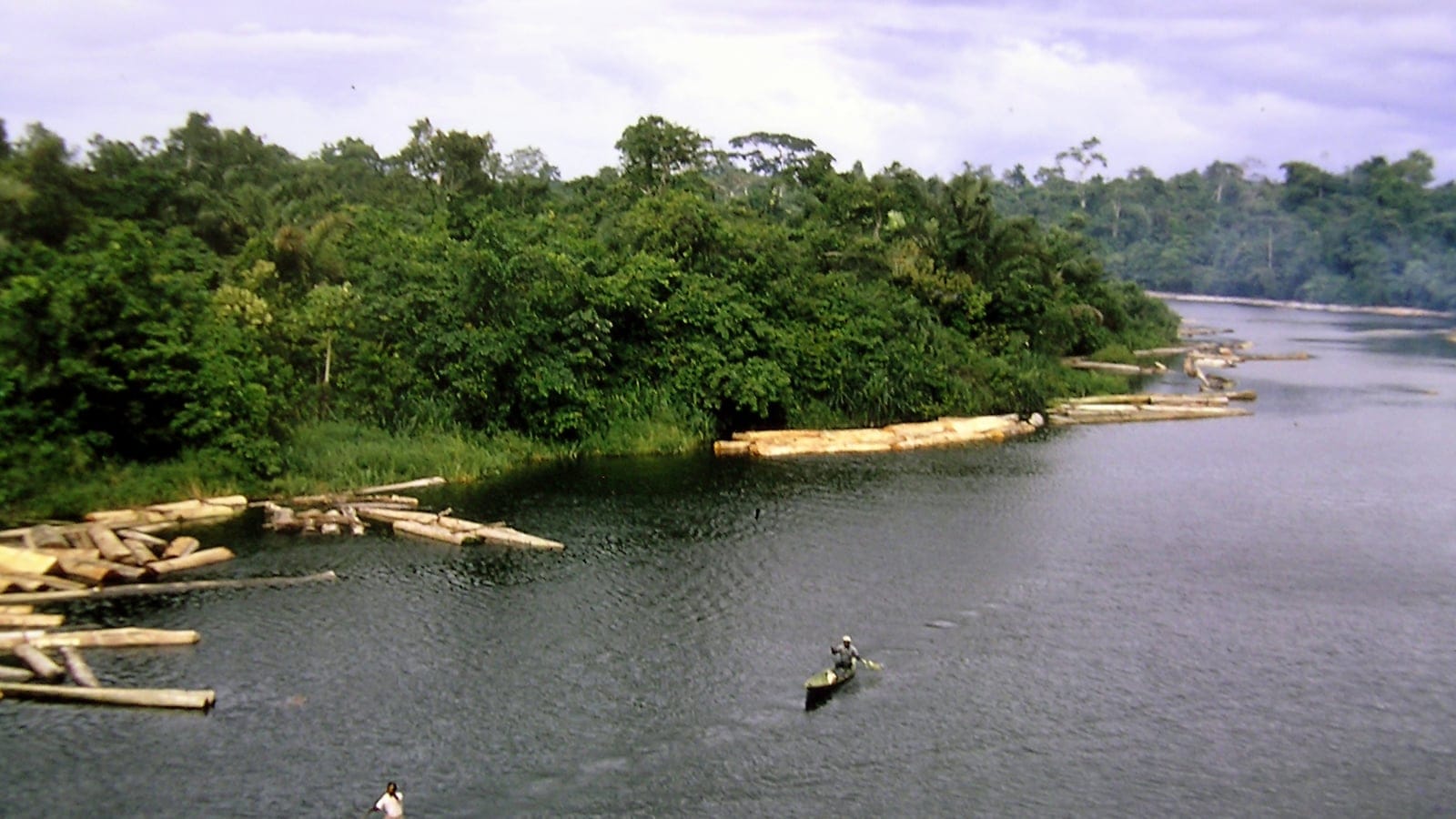 Sawn logs floated against a forested bank of the Niger Delta, with a canoe on the open water.