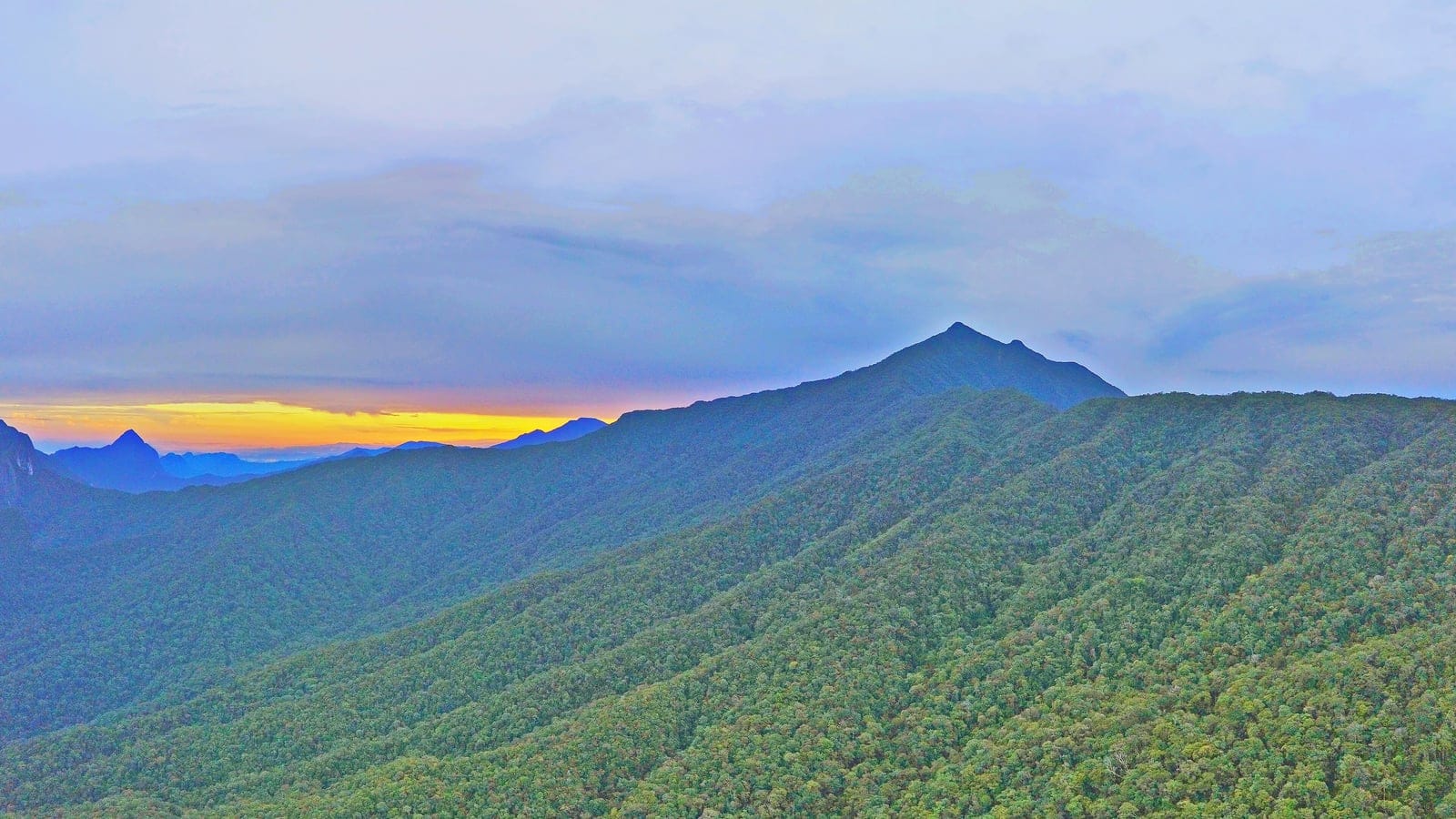Unbroken montane forest cloaking steep ridges at dawn near Mount Mulu, Sarawak.