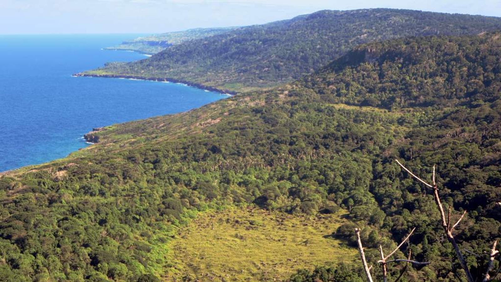 Forested coast on Christmas Island in the tropical forest ecoregion.