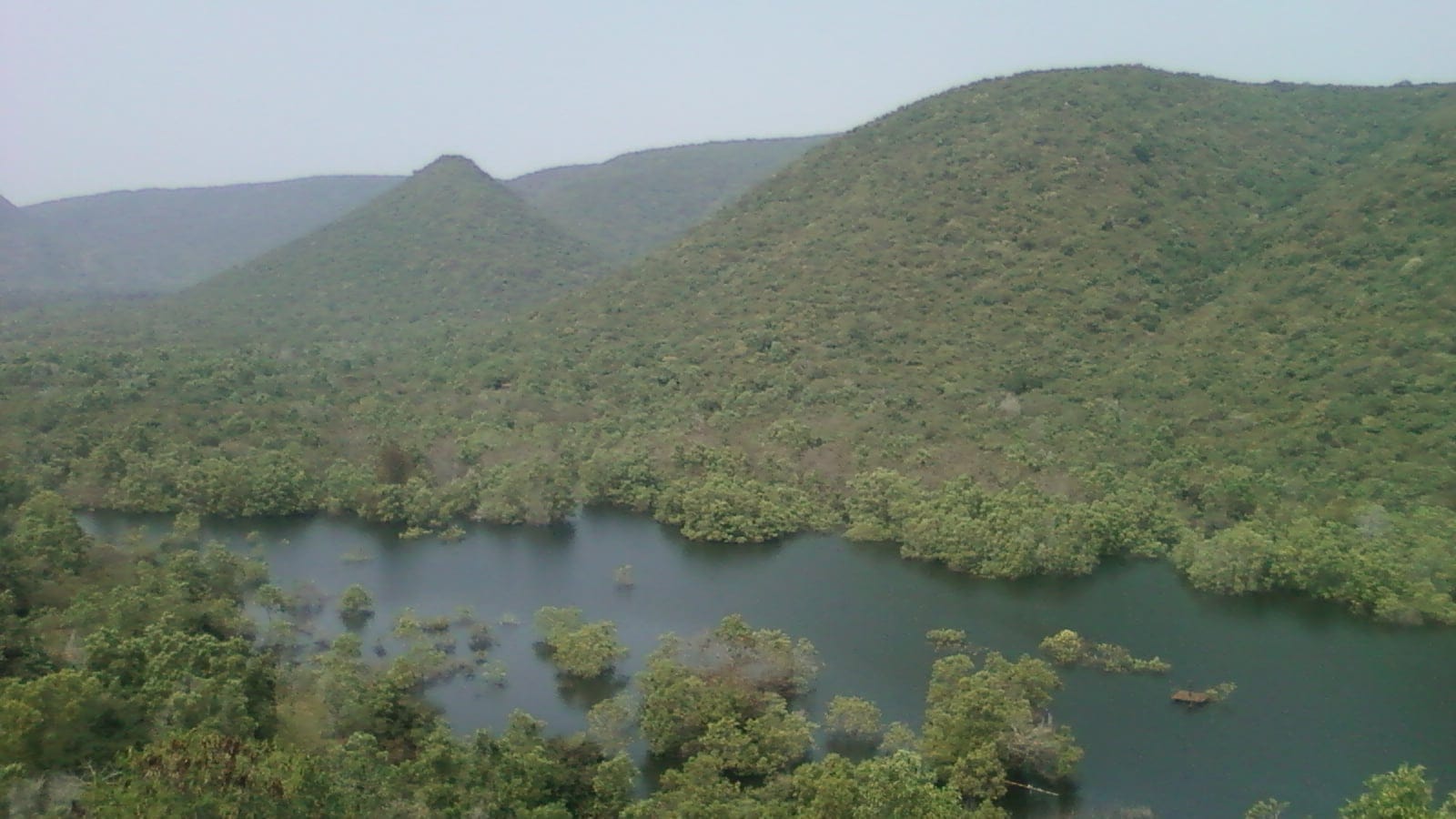 Moist deciduous forest and hills at Kambalakonda in the Eastern Ghats of India.