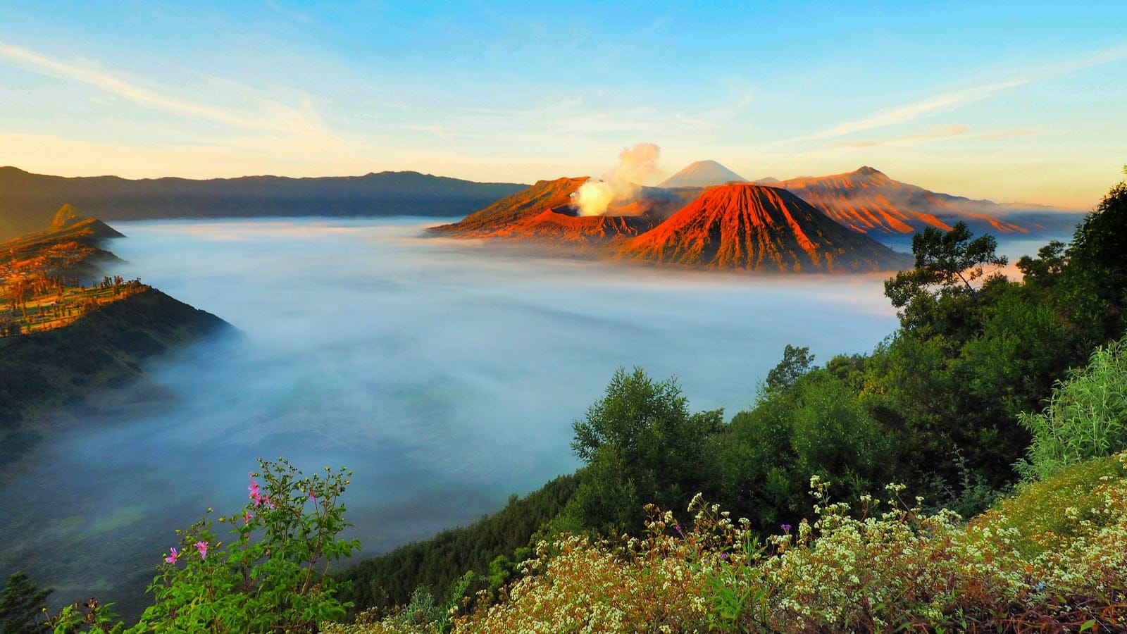 Montane rain forest and volcanic highlands in eastern Java.