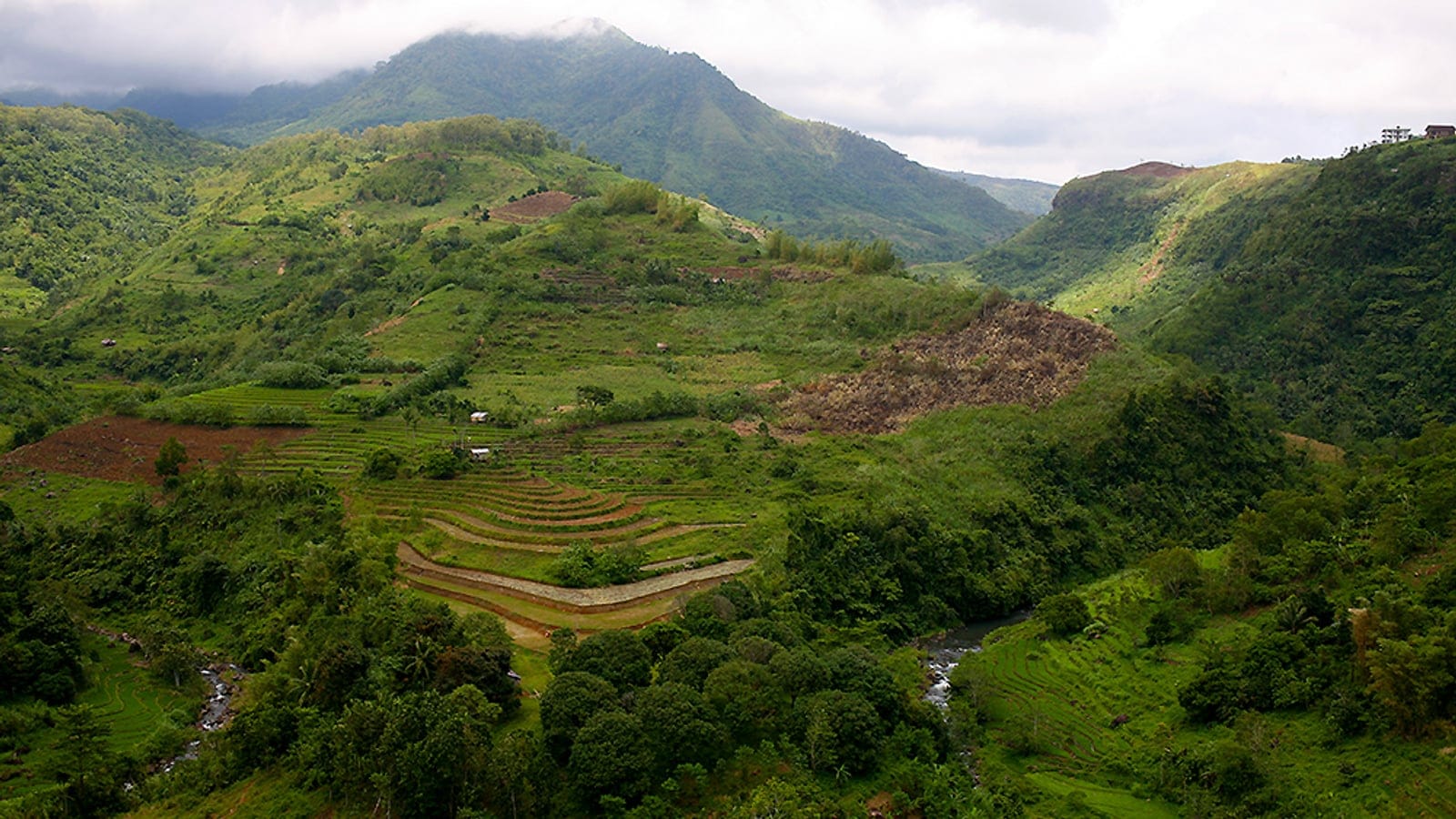 Terraced fields and forest remnants below cloud-capped Mount Kanlaon, Negros, Philippines.