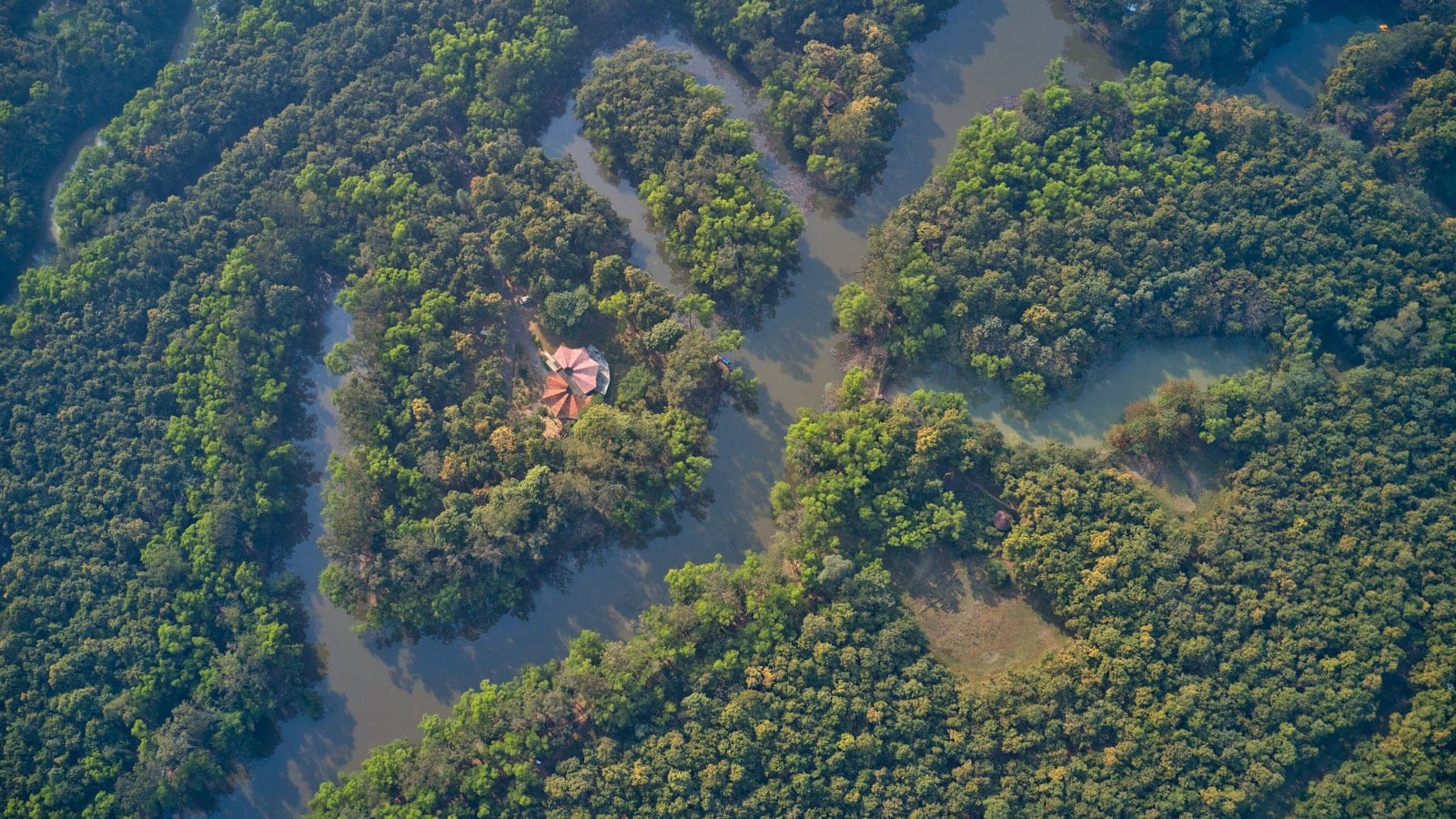 Flooded woodland and braided channels seen from the air over Bhawal National Park, Bangladesh.