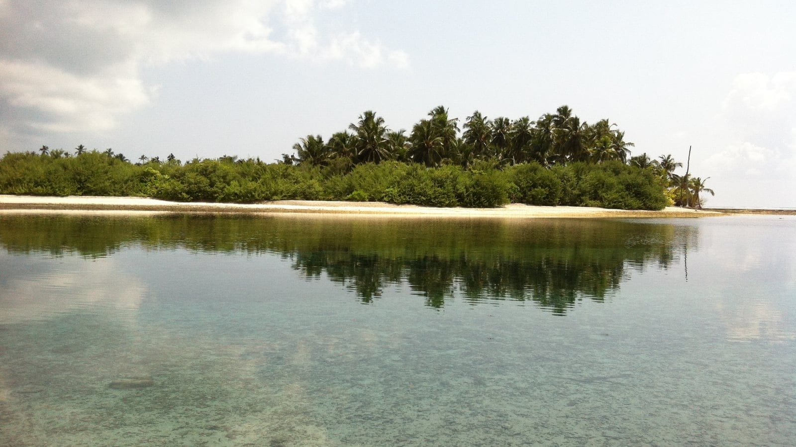 Cocoteros y matorral costero en una isla deshabitada sobre una laguna somera, Maldivas.