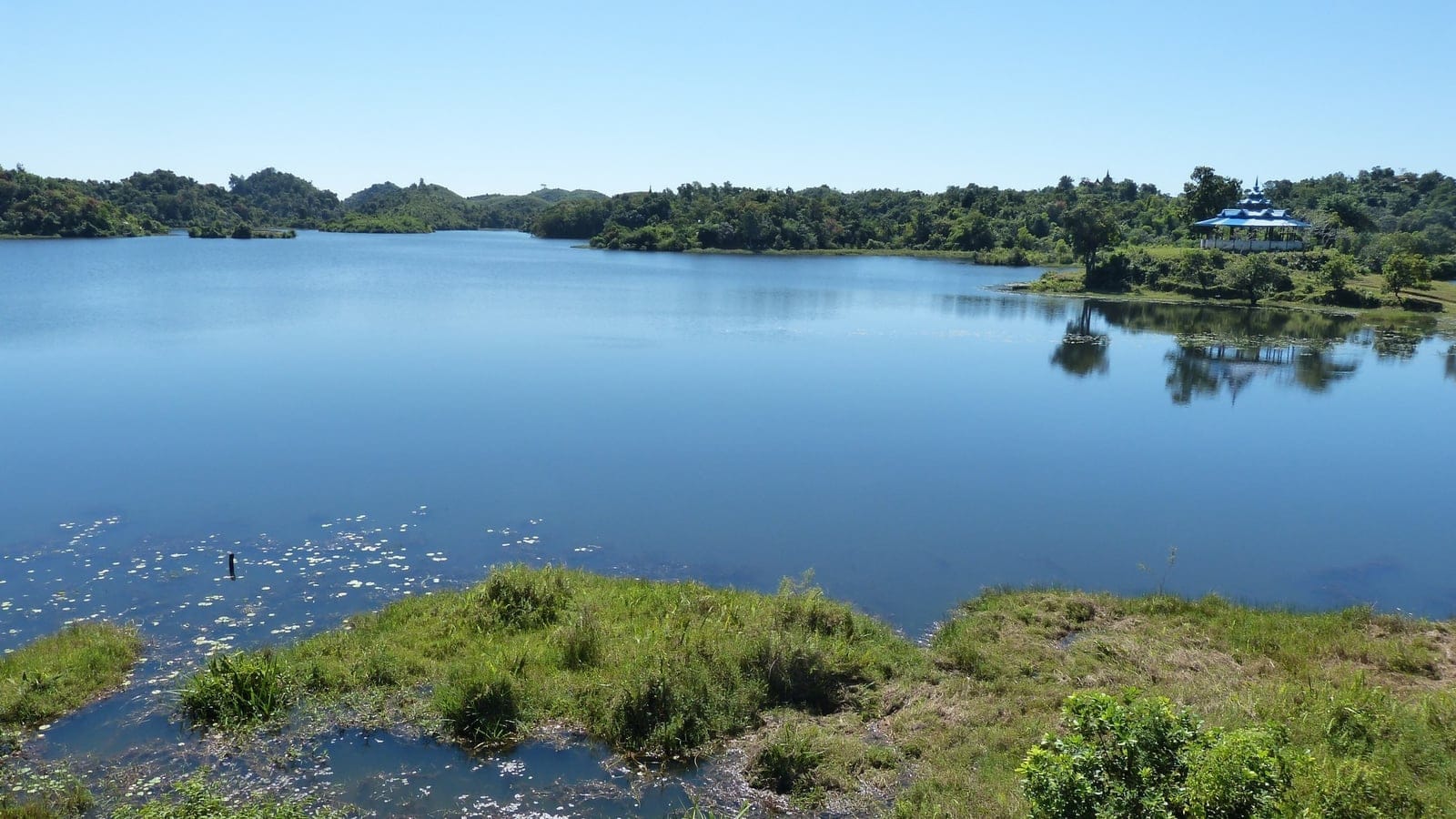 Water lily pads and marsh grass along the edge of Lattsaykan Lake below wooded hills, Mrauk U, Myanmar.