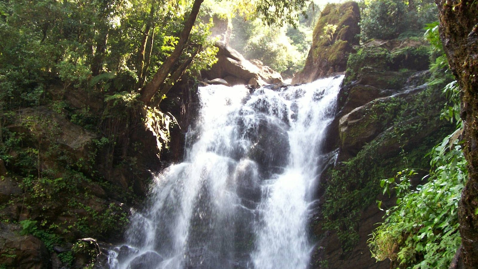 Waterfall through dense forest and ferns at Hanumanagundi, Kudremukh, Karnataka.