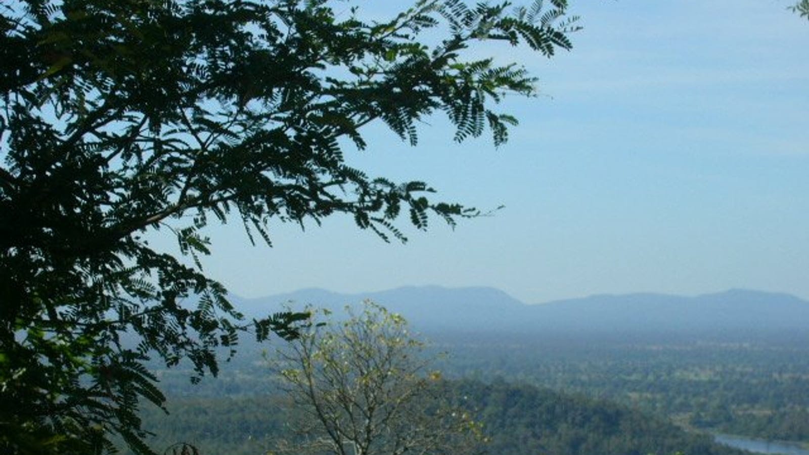 Hazy lowland forest and distant hills framed by a bipinnate branch in the Phu Phan hills, Thailand.
