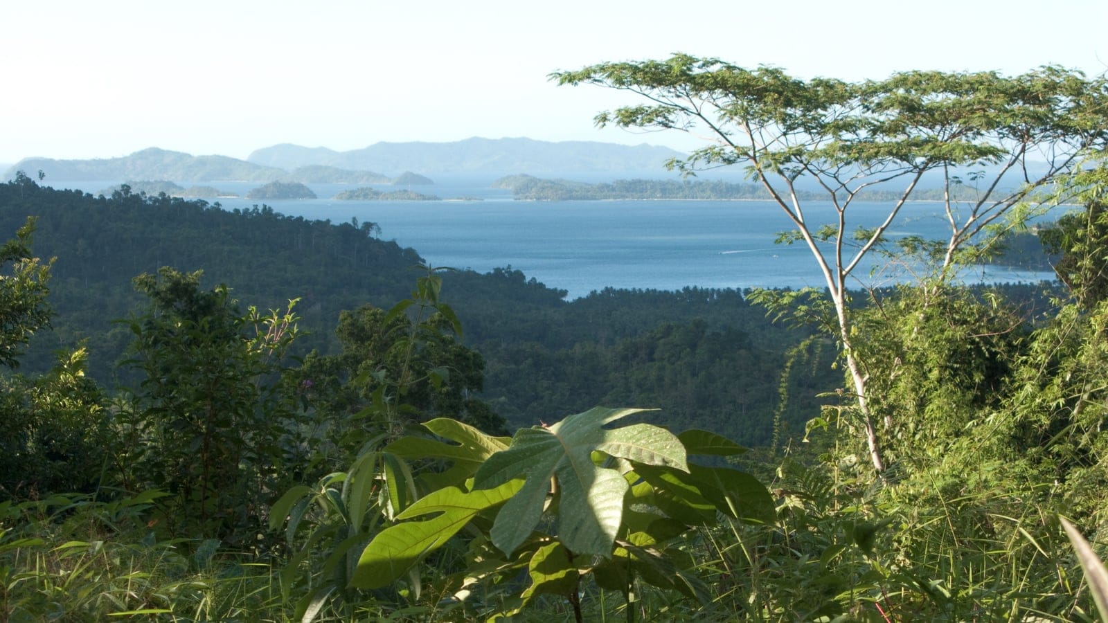 Broadleaf rainforest ridges running down to the sea on the northwest coast of Palawan, Philippines.