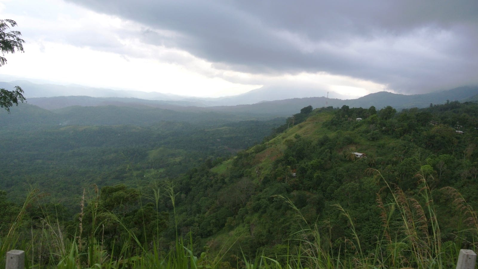 Forested hills under monsoon cloud seen from a ridge road in the Badulla hills, Sri Lanka.
