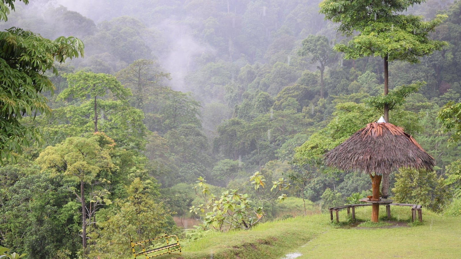 Mist rising off layered rainforest ridges beside a thatched shelter, Bukit Tigapuluh, Sumatra.