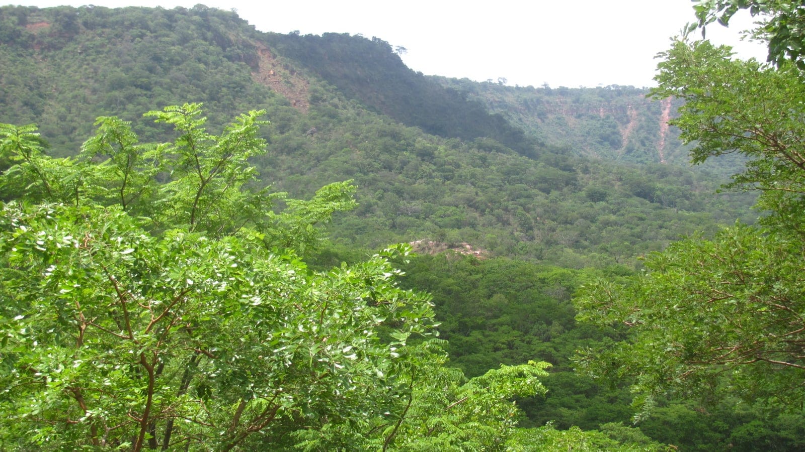 Green woodland and red laterite gully scars on the Makonde Plateau escarpment, Mtwara Region, Tanzania.