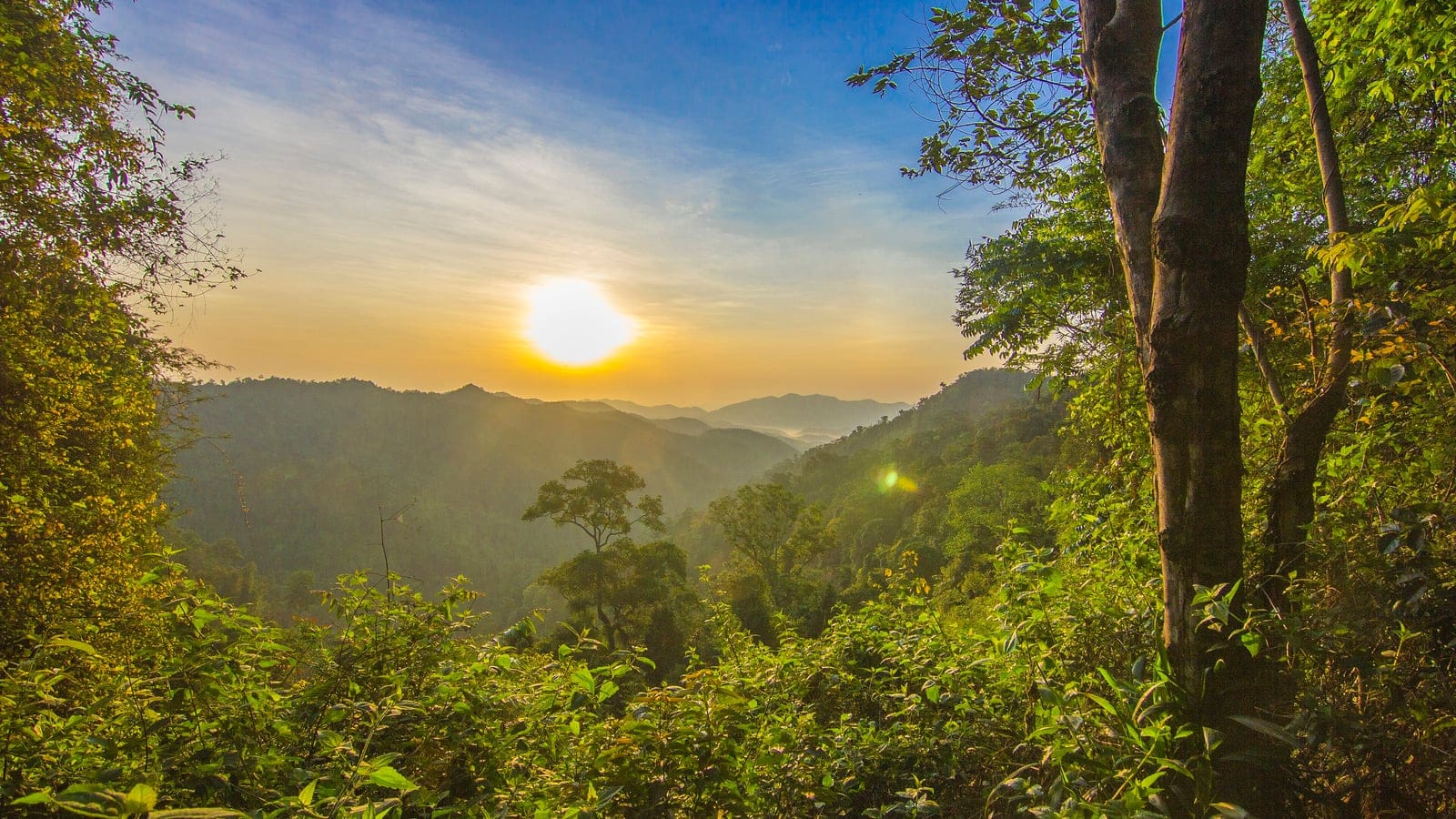 Sunrise over layered forested ridges in Kaeng Krachan National Park, Thailand.