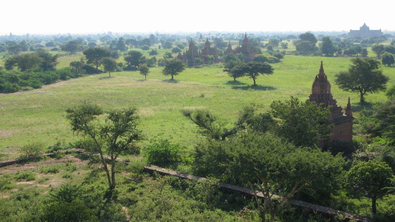 Templos de ladrillo erguidos entre árboles dispersos y pastizales pastoreados en la llanura de Bagan, Myanmar.