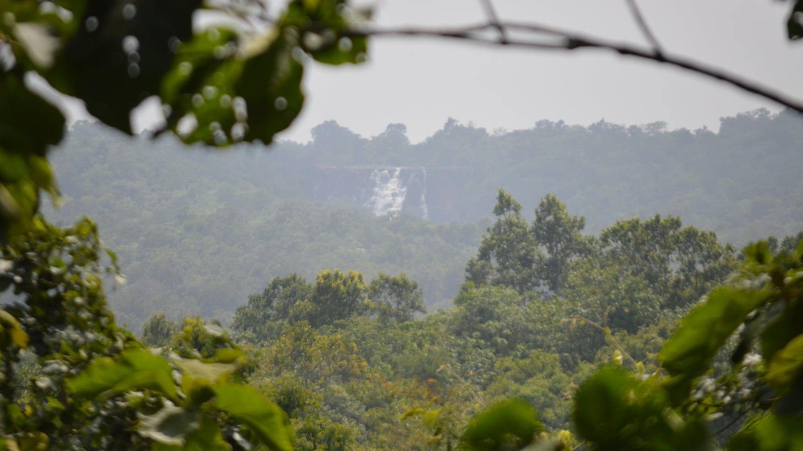 Hazy forested hills and a distant waterfall in Kanger Valley National Park, Chhattisgarh.