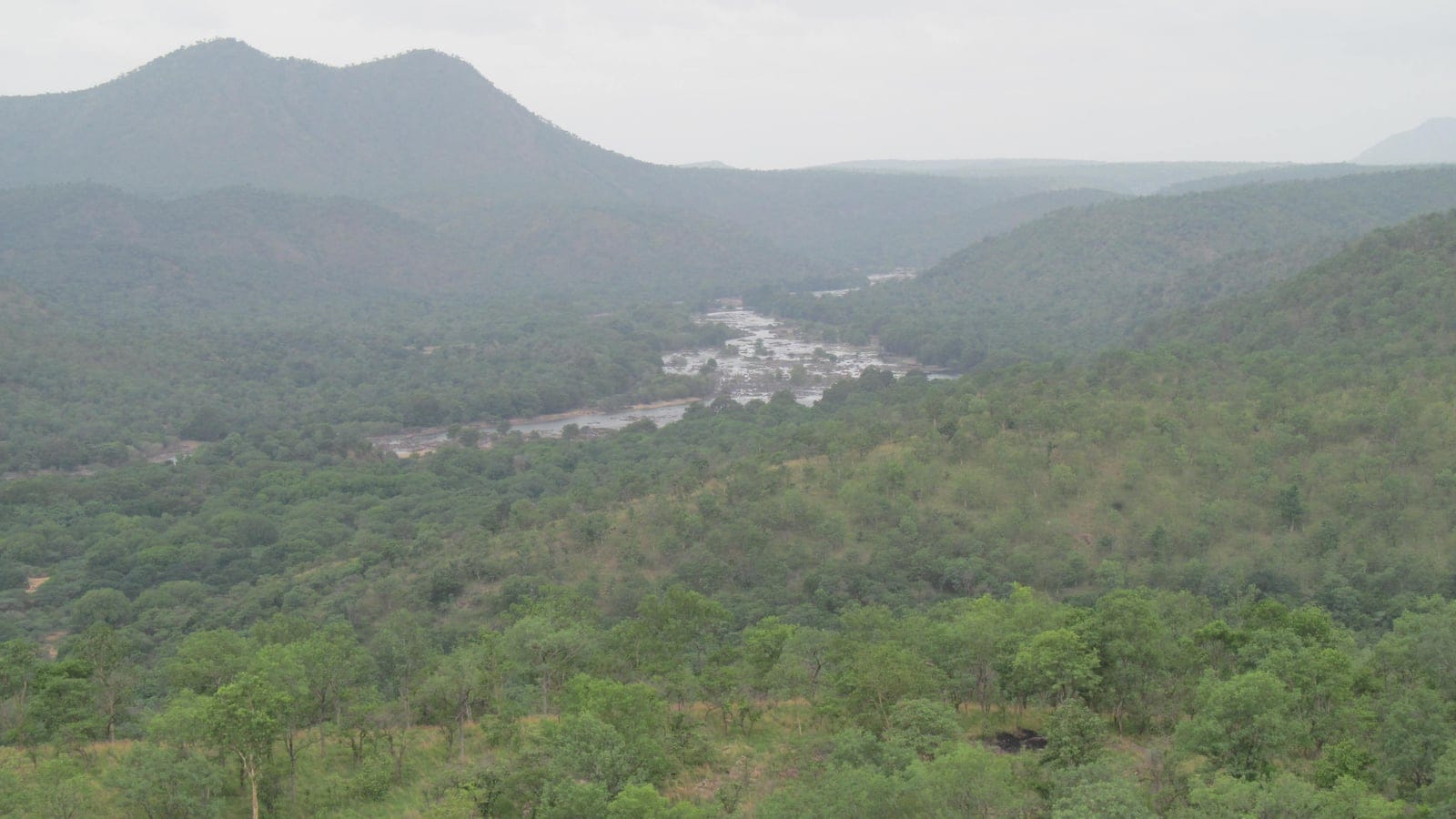 Dry deciduous forest on hills flanking the rocky Cauvery river, Cauvery Wildlife Sanctuary, Karnataka, India.
