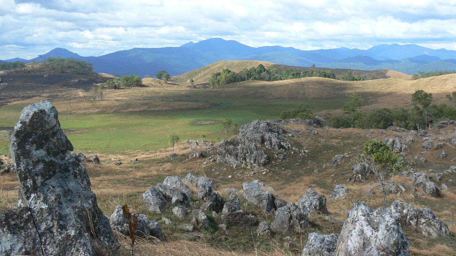 Limestone outcrops in the dry Veal Thom grassland below forested ridges, Virachey National Park, Cambodia.