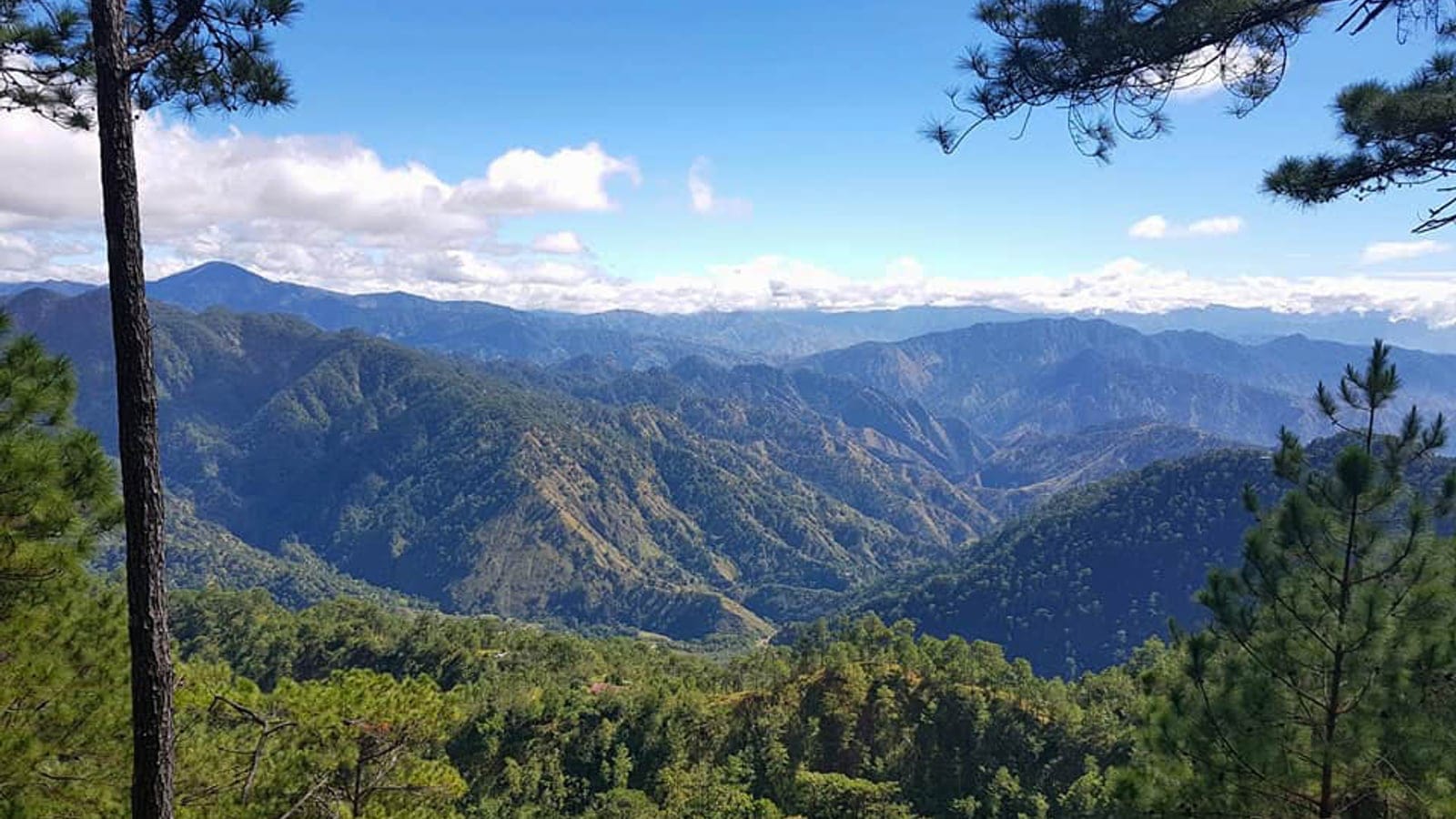 Pines framing forested Cordillera ridges from Mount Ulap, Benguet, Luzon.